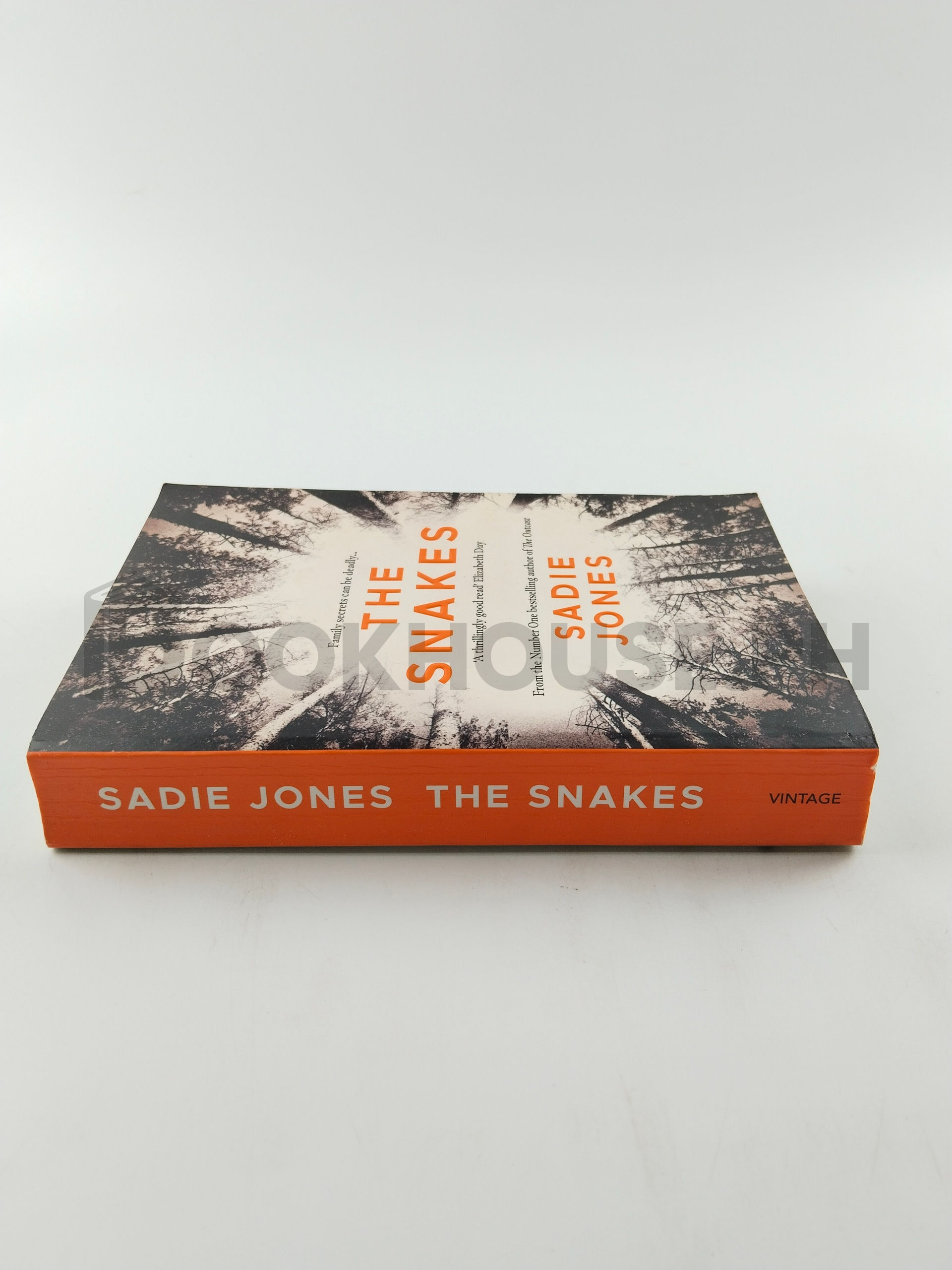 The Snakes by Sadie Jones - Image 3