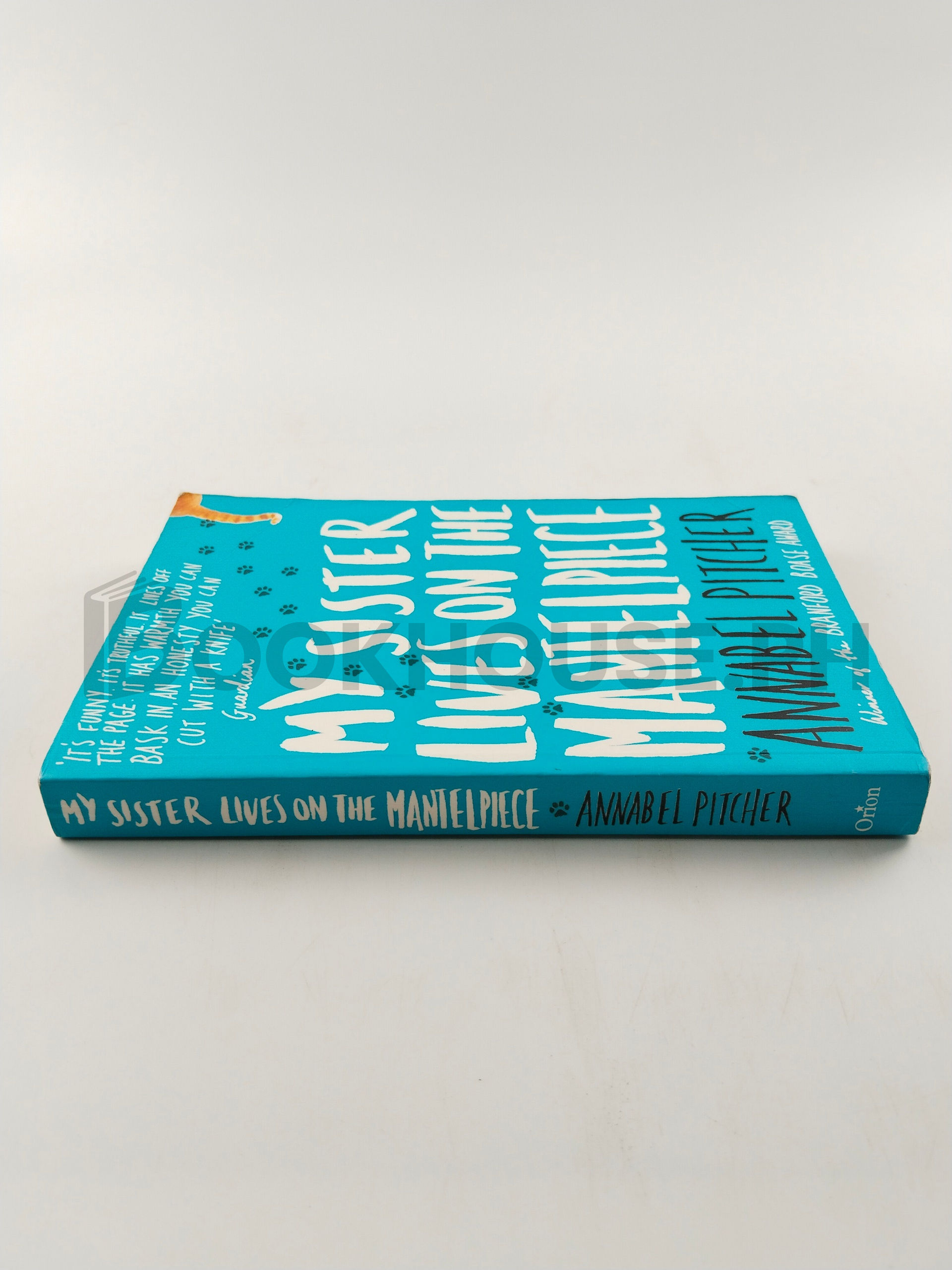 My Sister Lives On The Mantelpiece by Annabel Pitcher - Image 3