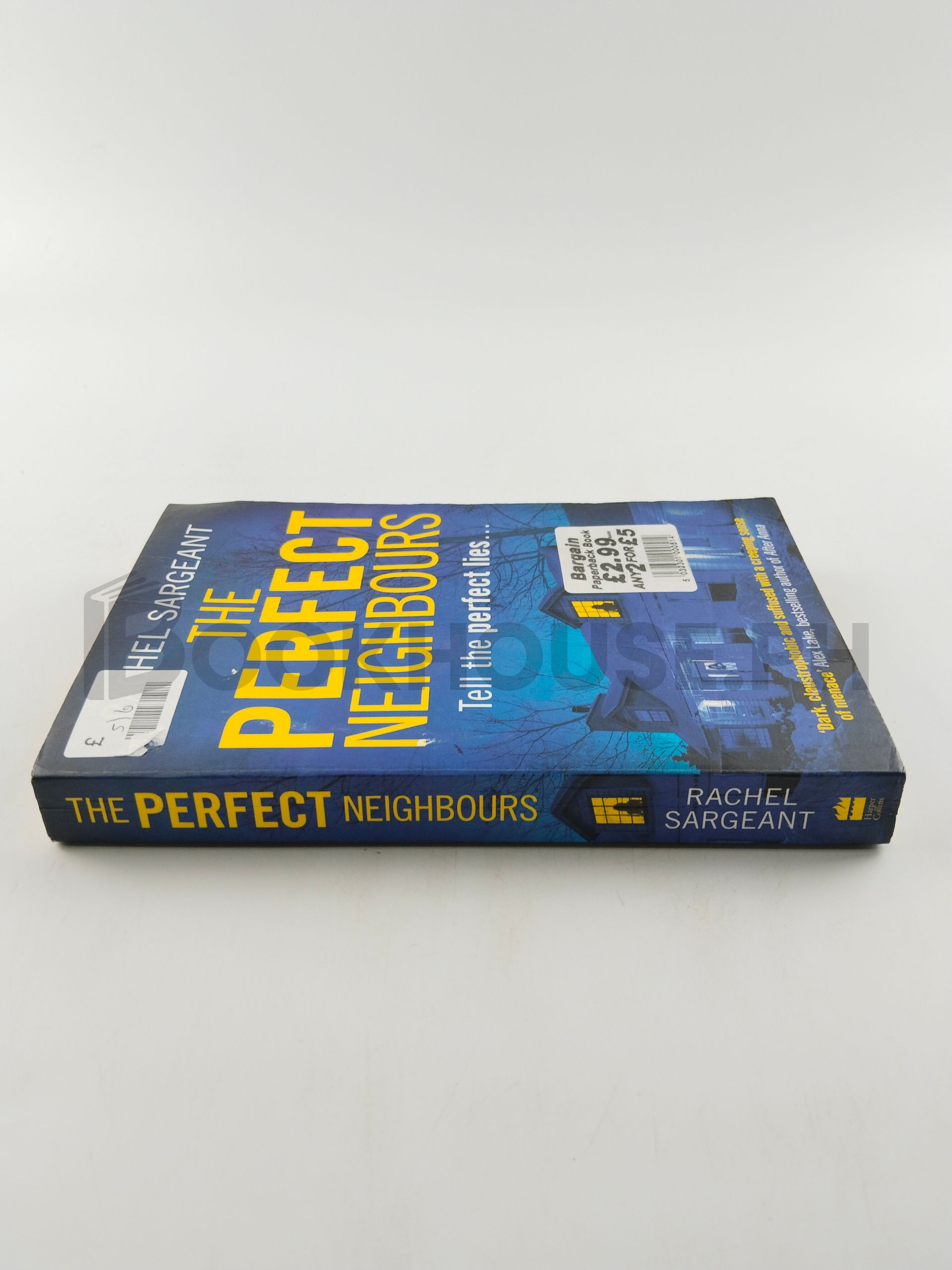 The Perfect Neighbours by Rachel Sargeant - Image 3