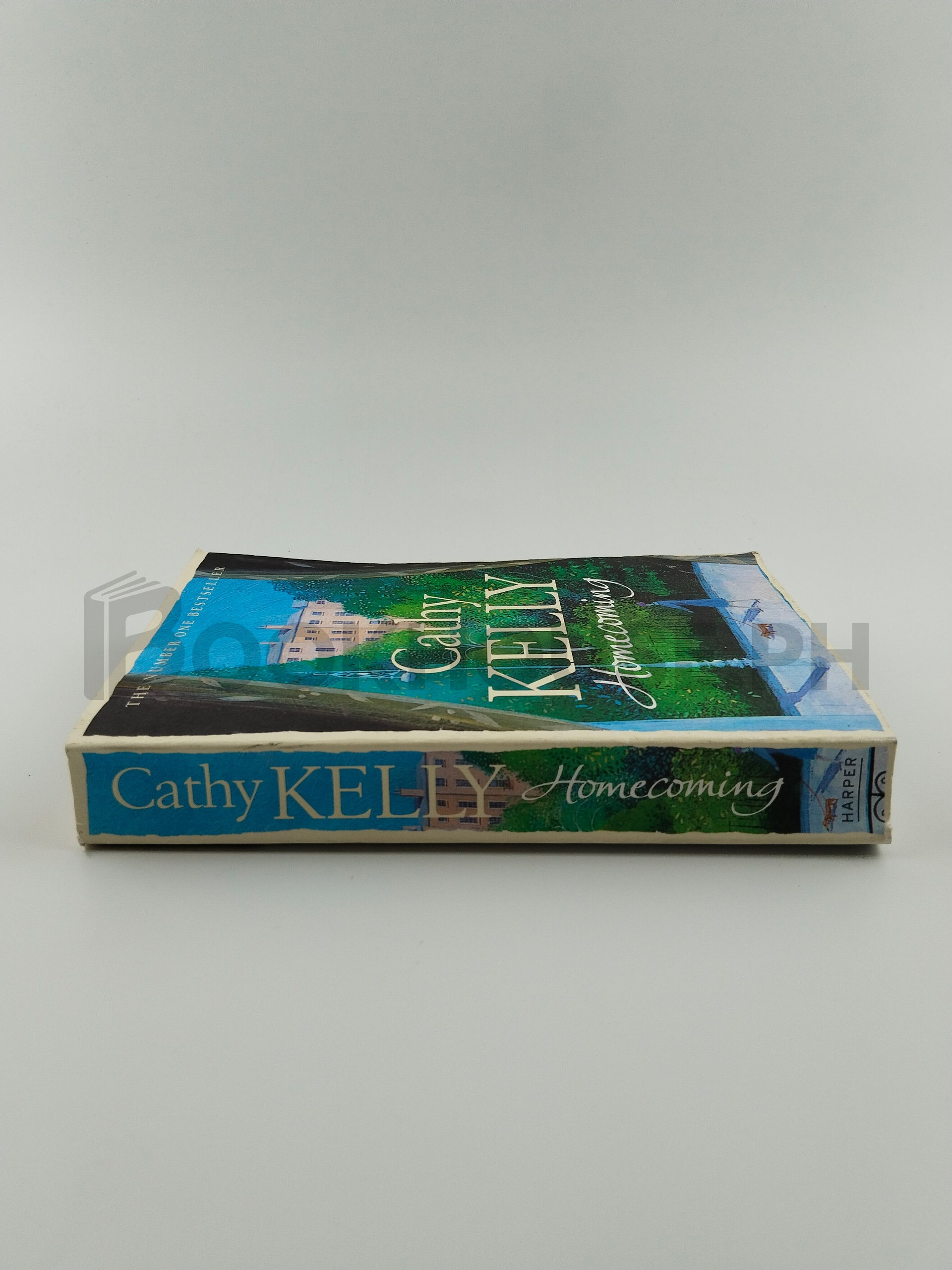 Homecoming by Cathy Kelley - Image 3