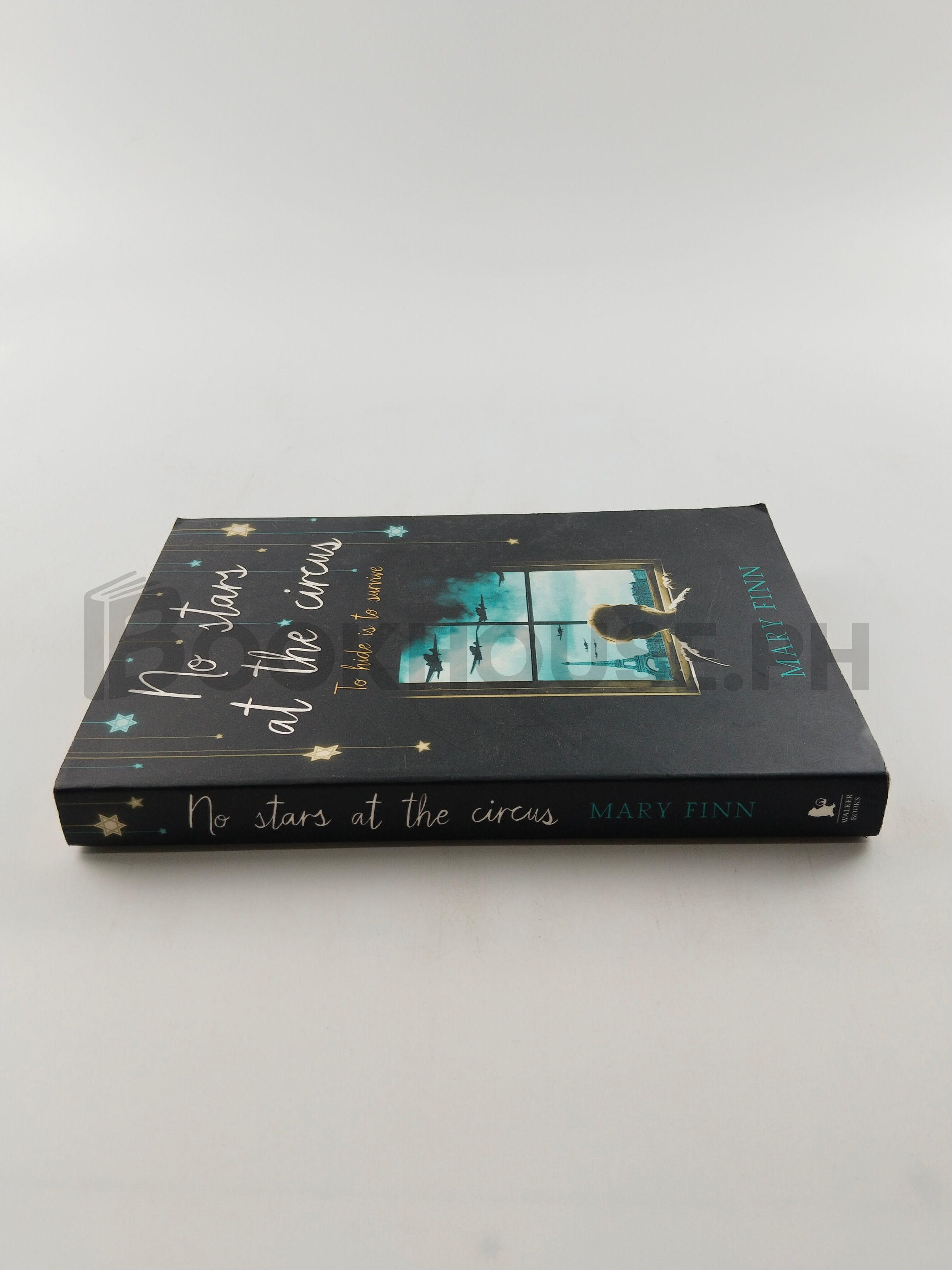 No Stars At The Circus by Mary Finn - Image 3