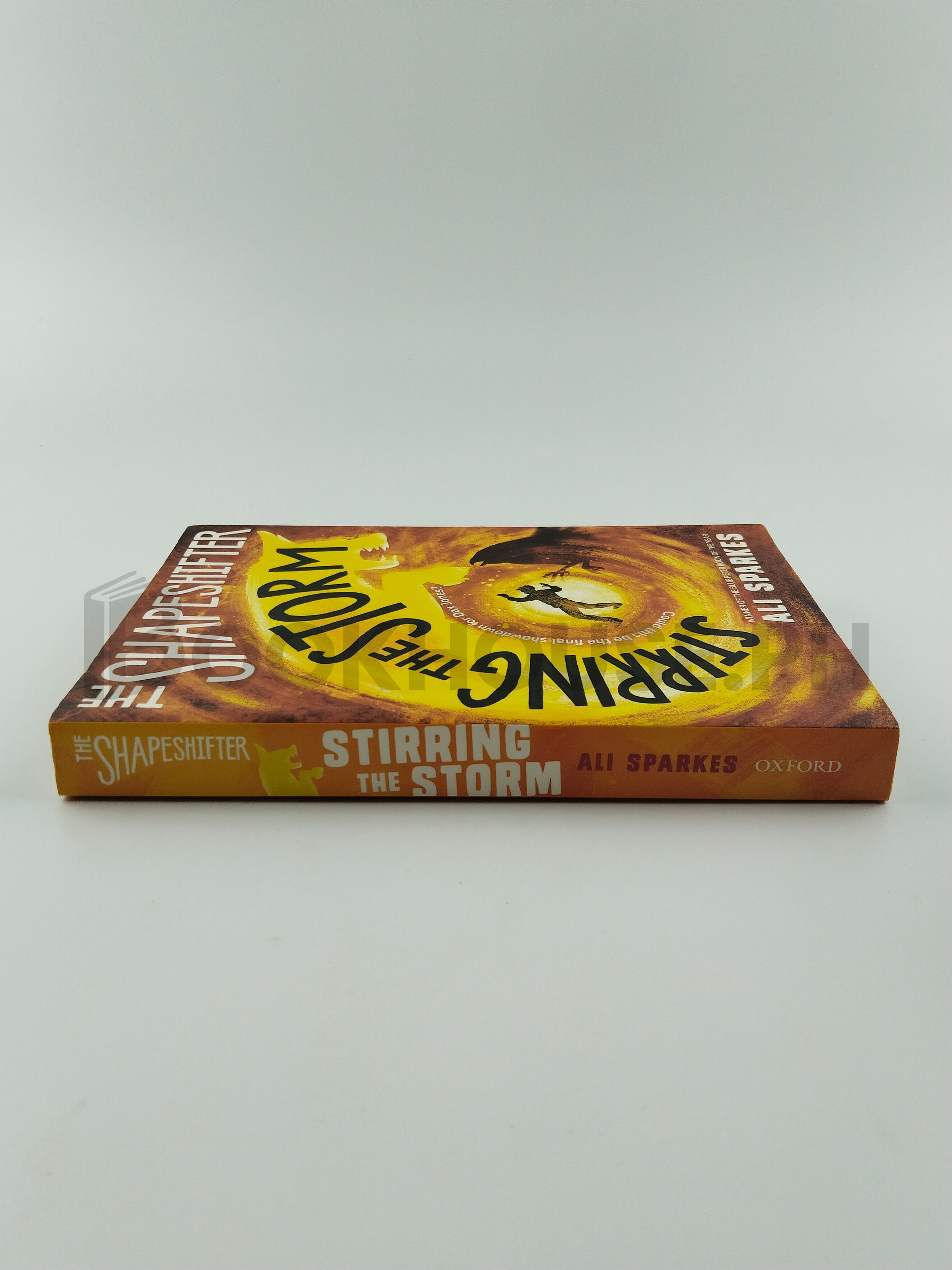 The Shape Shifter Stirring The Storm by Ali Sparkes - Image 3