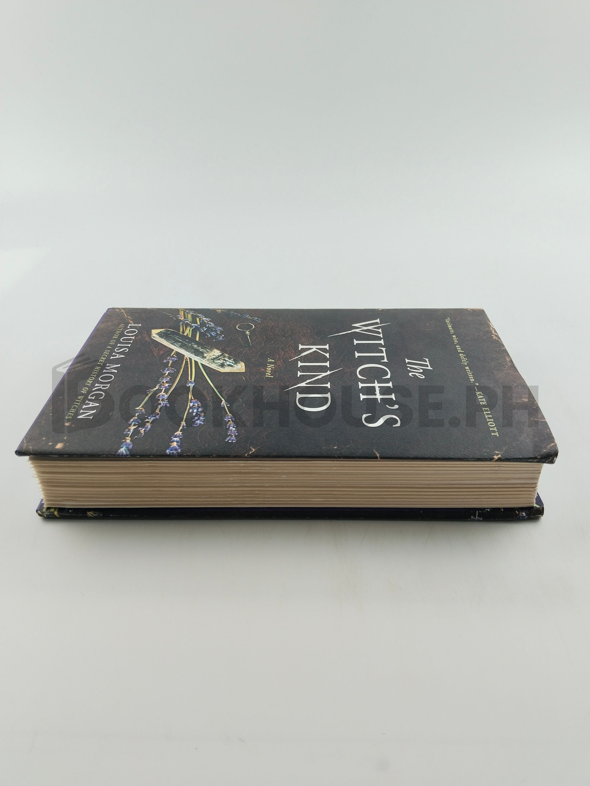 The Witch's Kind by Louisa Morgan - Image 4