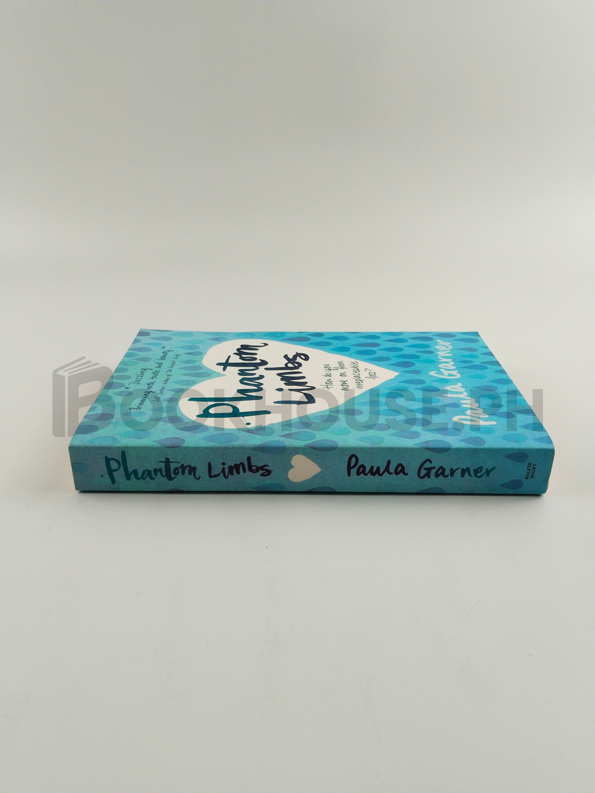 Phantom Limbs by Paula Garner - Image 3