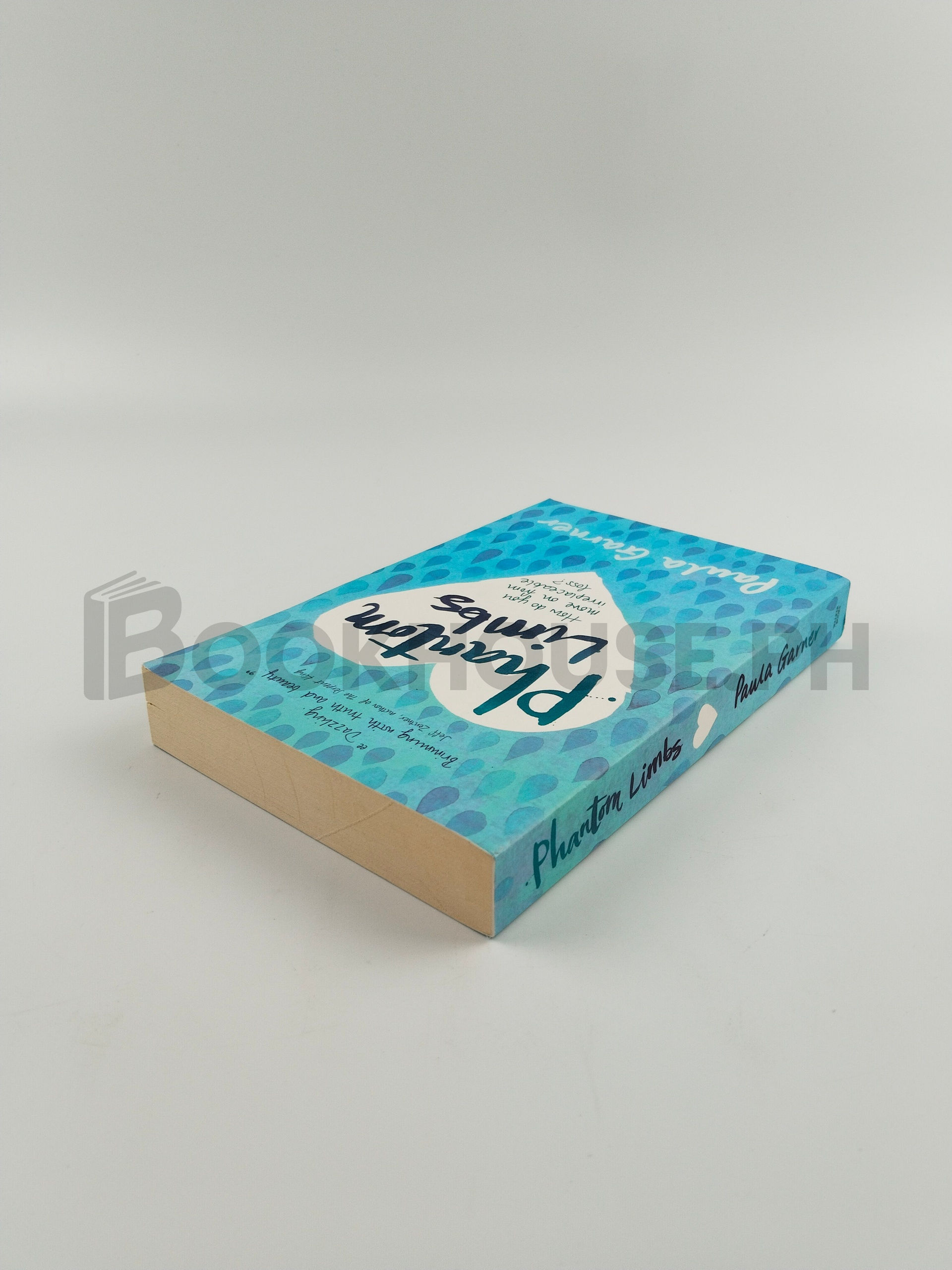 Phantom Limbs by Paula Garner - Image 2