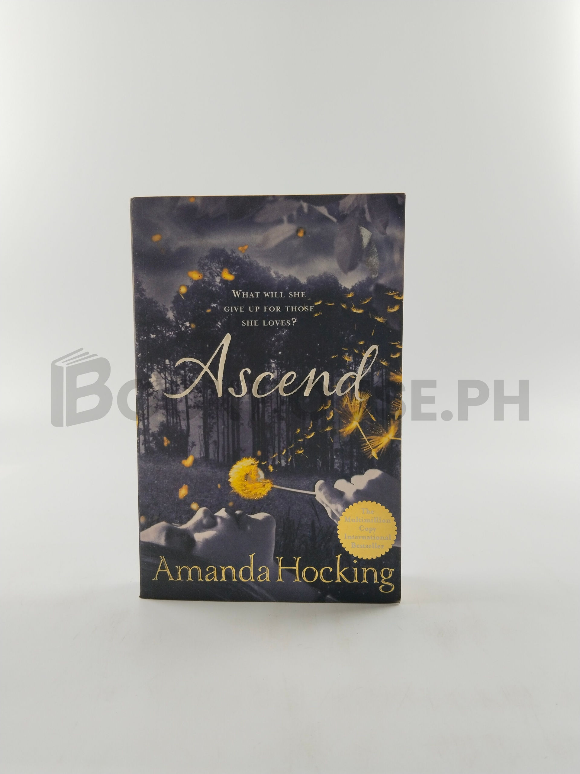 Ascend by Amanda Hocking