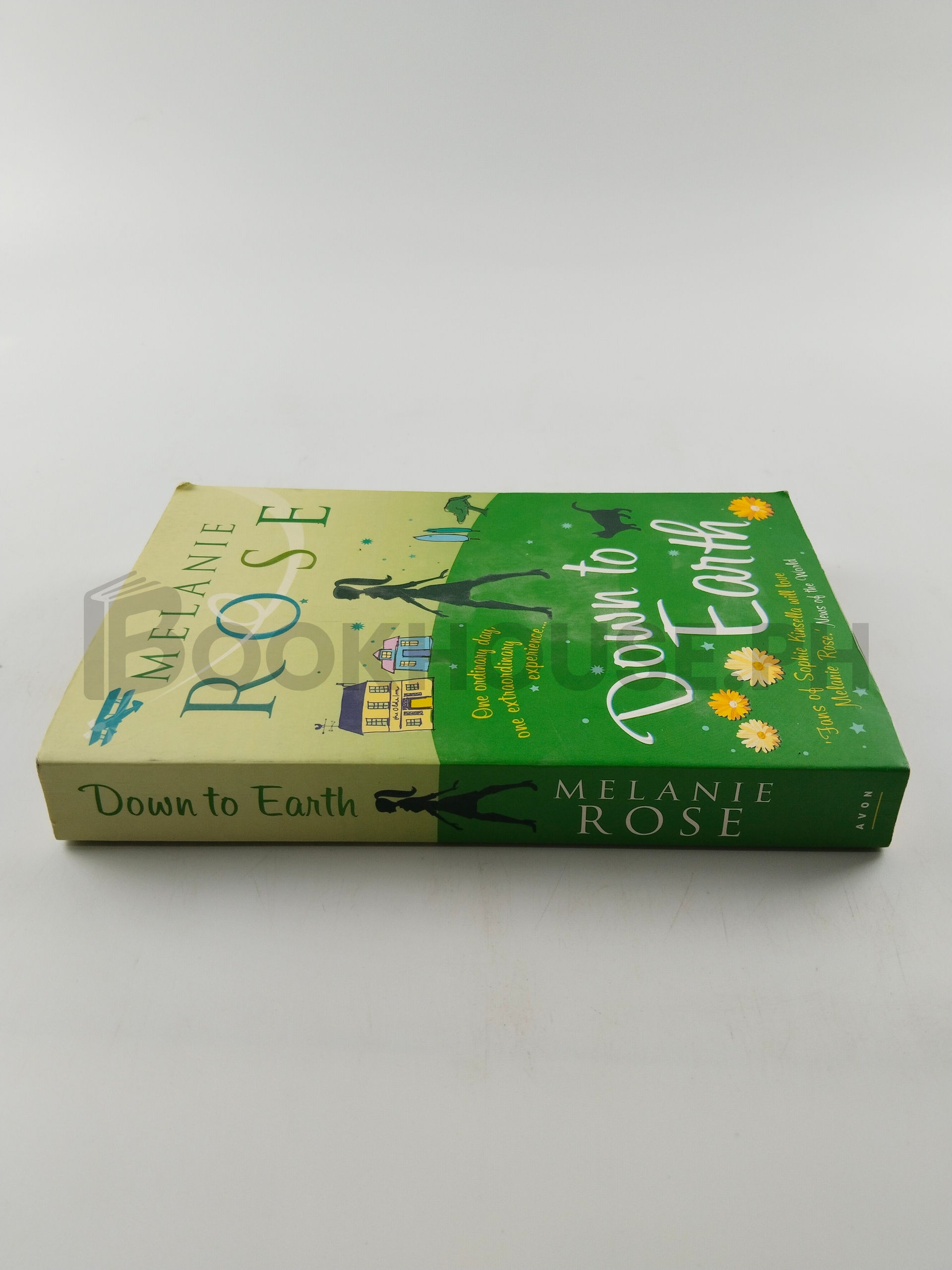 Down To Earth by Melanie Rose - Image 3