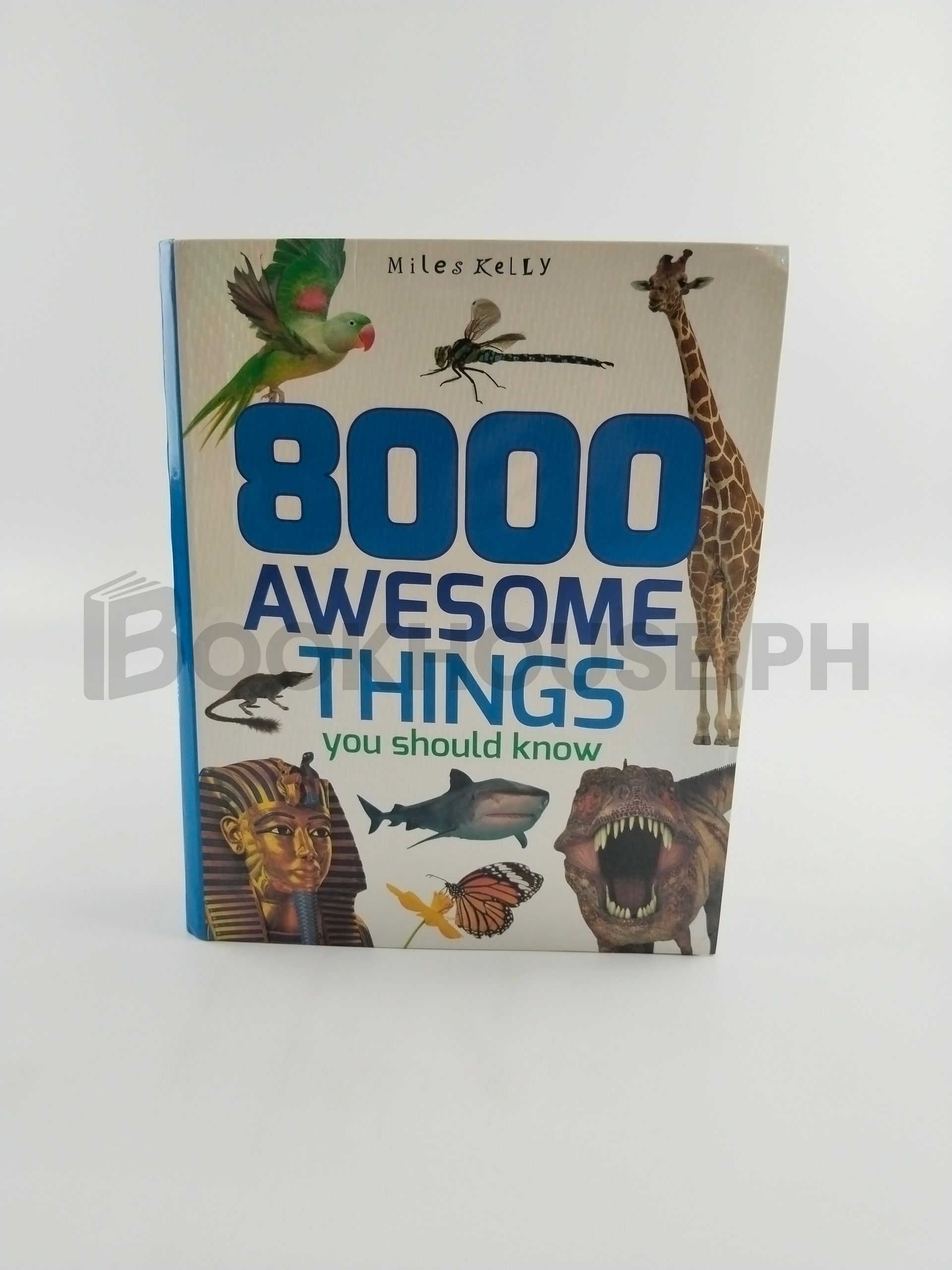 8000 Awesome Things You Should Know by Miles Kelly
