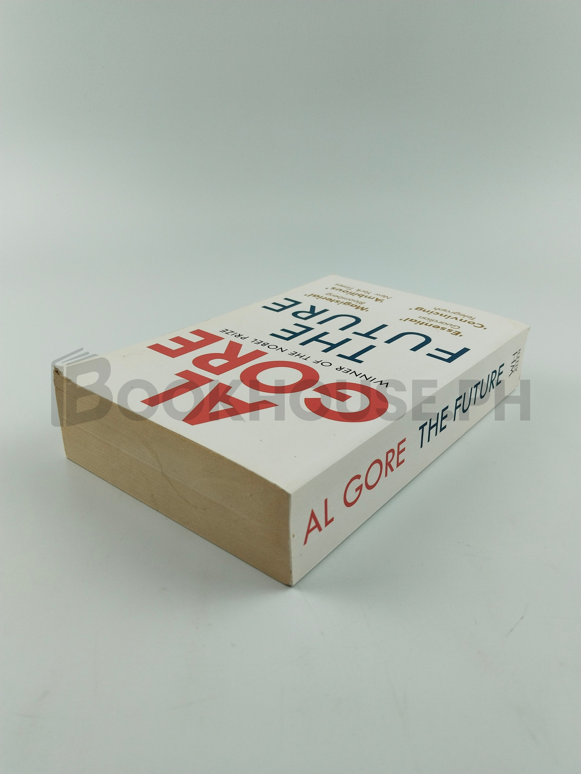 The Future by Al Gore - Image 2