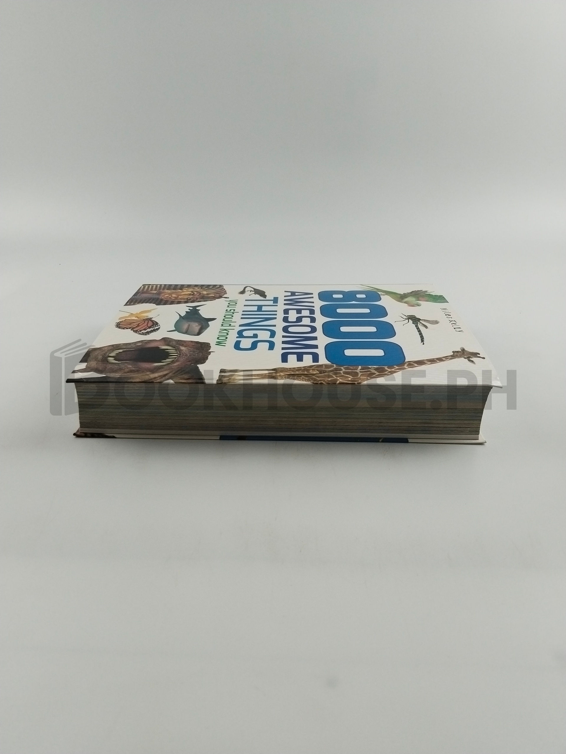 8000 Awesome Things You Should Know by Miles Kelly - Image 4