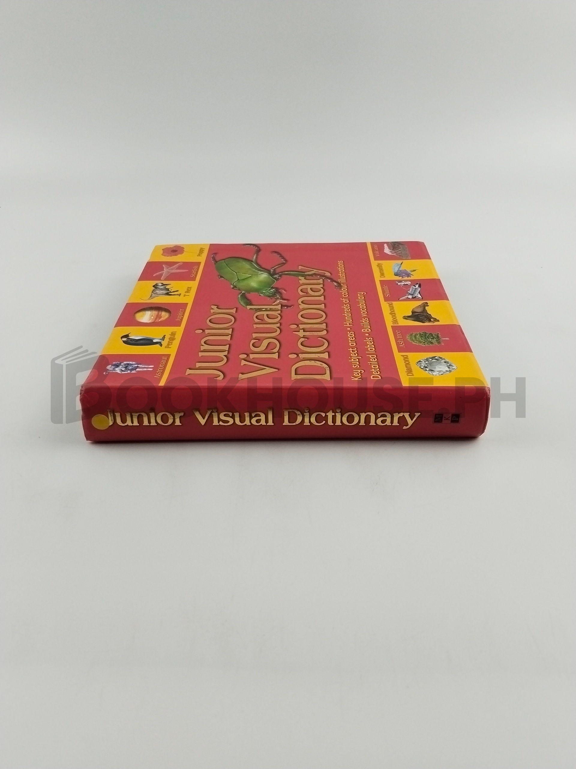 Junior Visual Dictionary by Rosalind Mcguire - Image 3