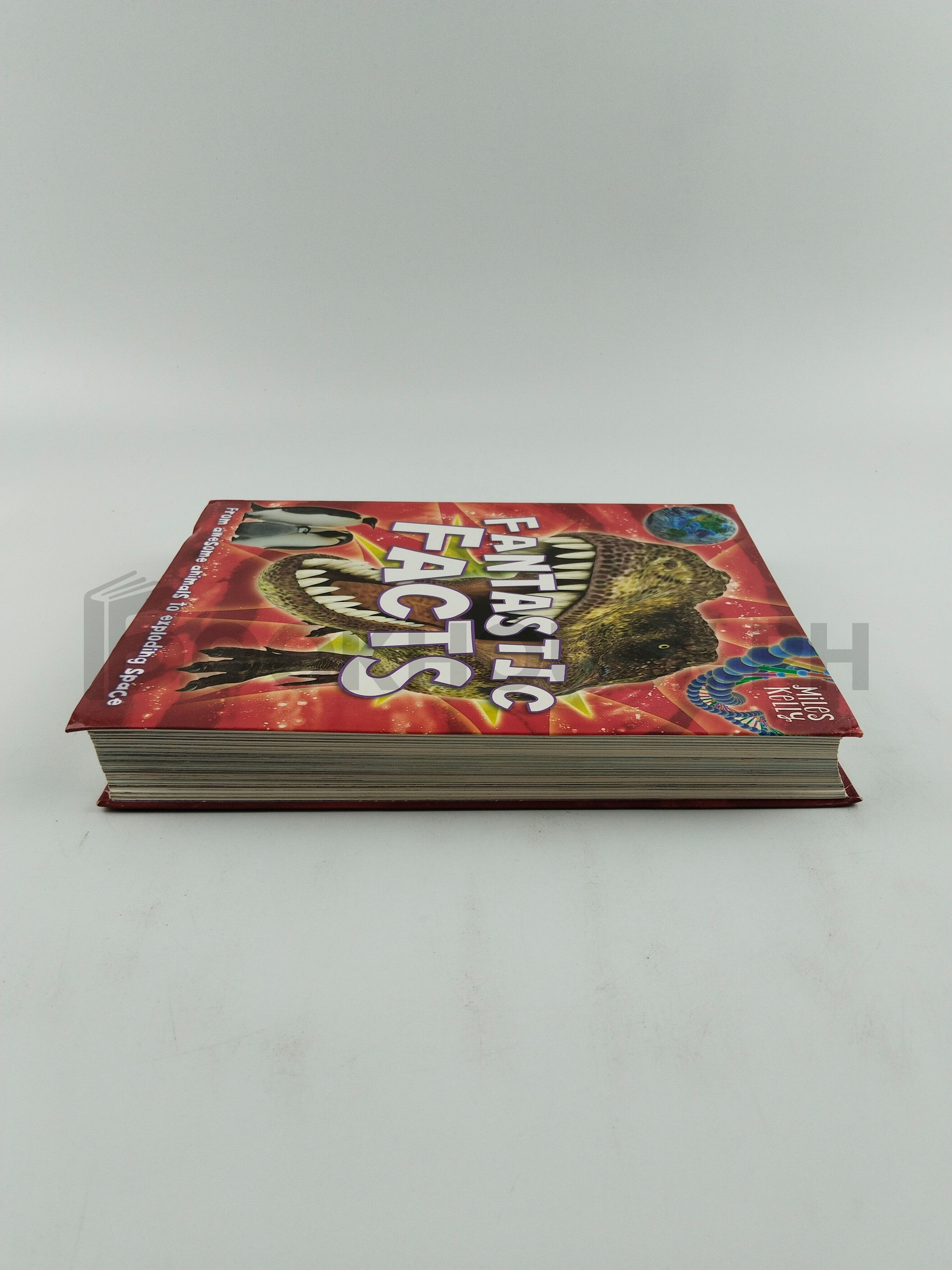 Fantastic Facts by Miles Kelly - Image 4