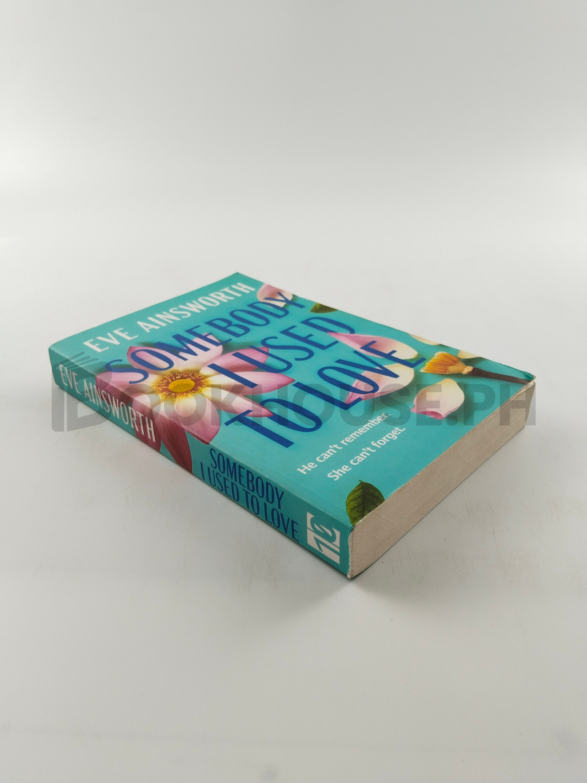 Somebody I Used To Love by Eve Ainsworth - Image 2