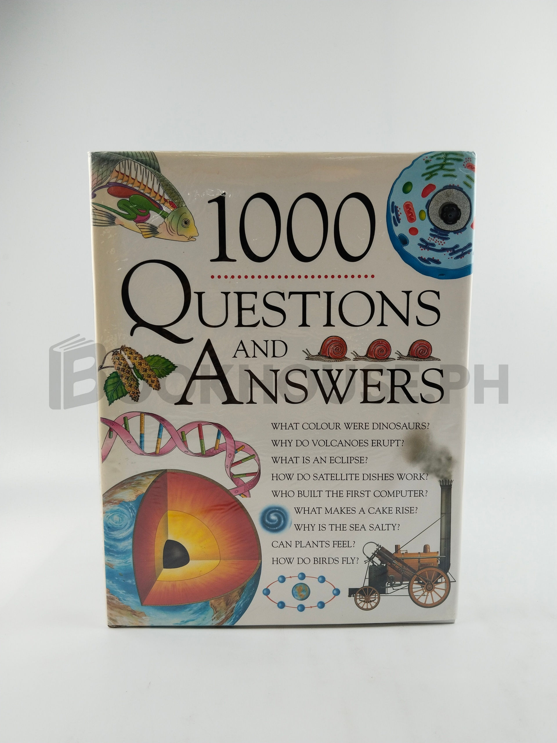 1000 Questions And Answers by Nicola Baxter