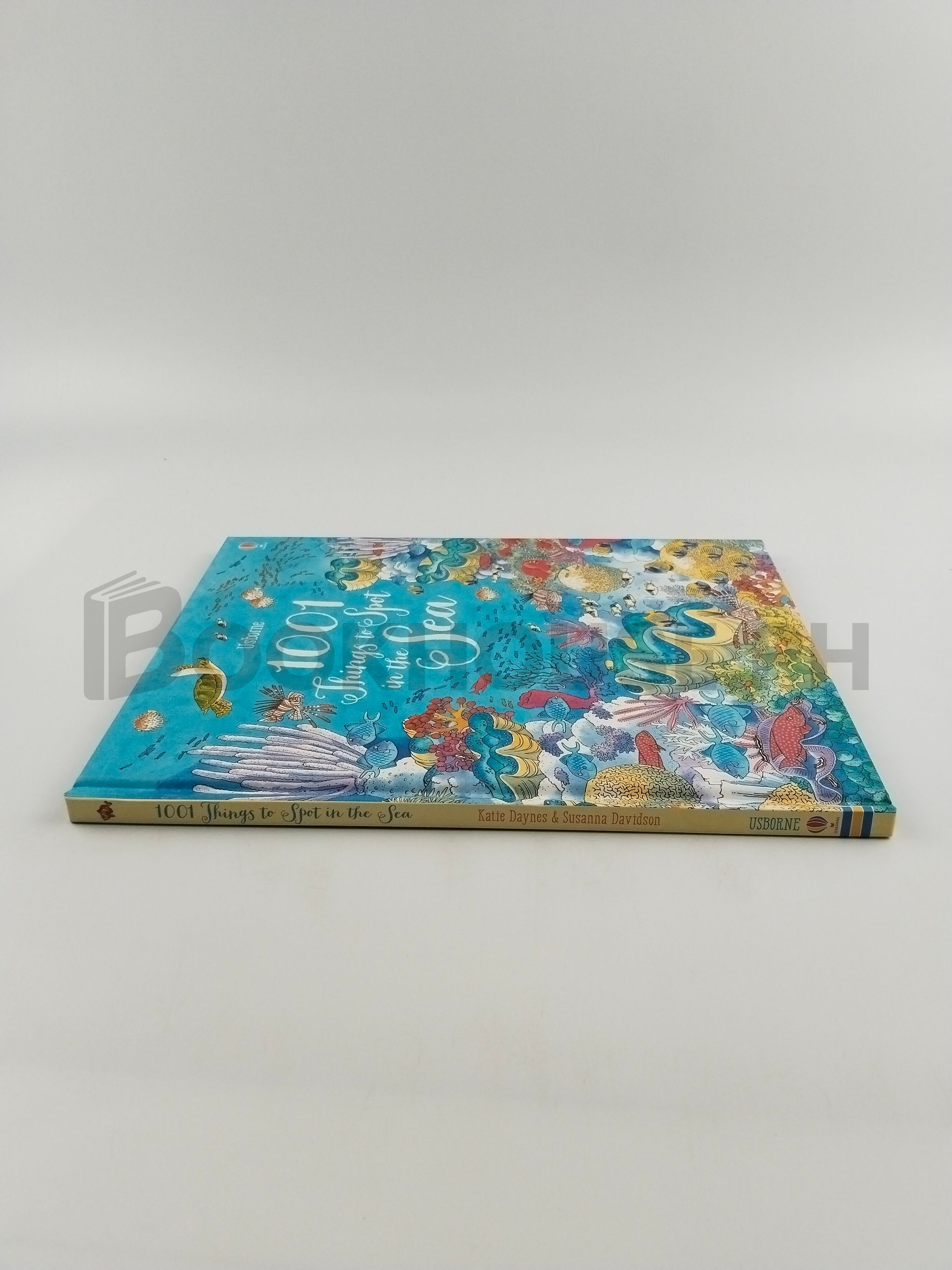 1001 Things To Spot In The Sea by Emma Helbrough, Susanna Davidson, Katie Daynes - Image 3