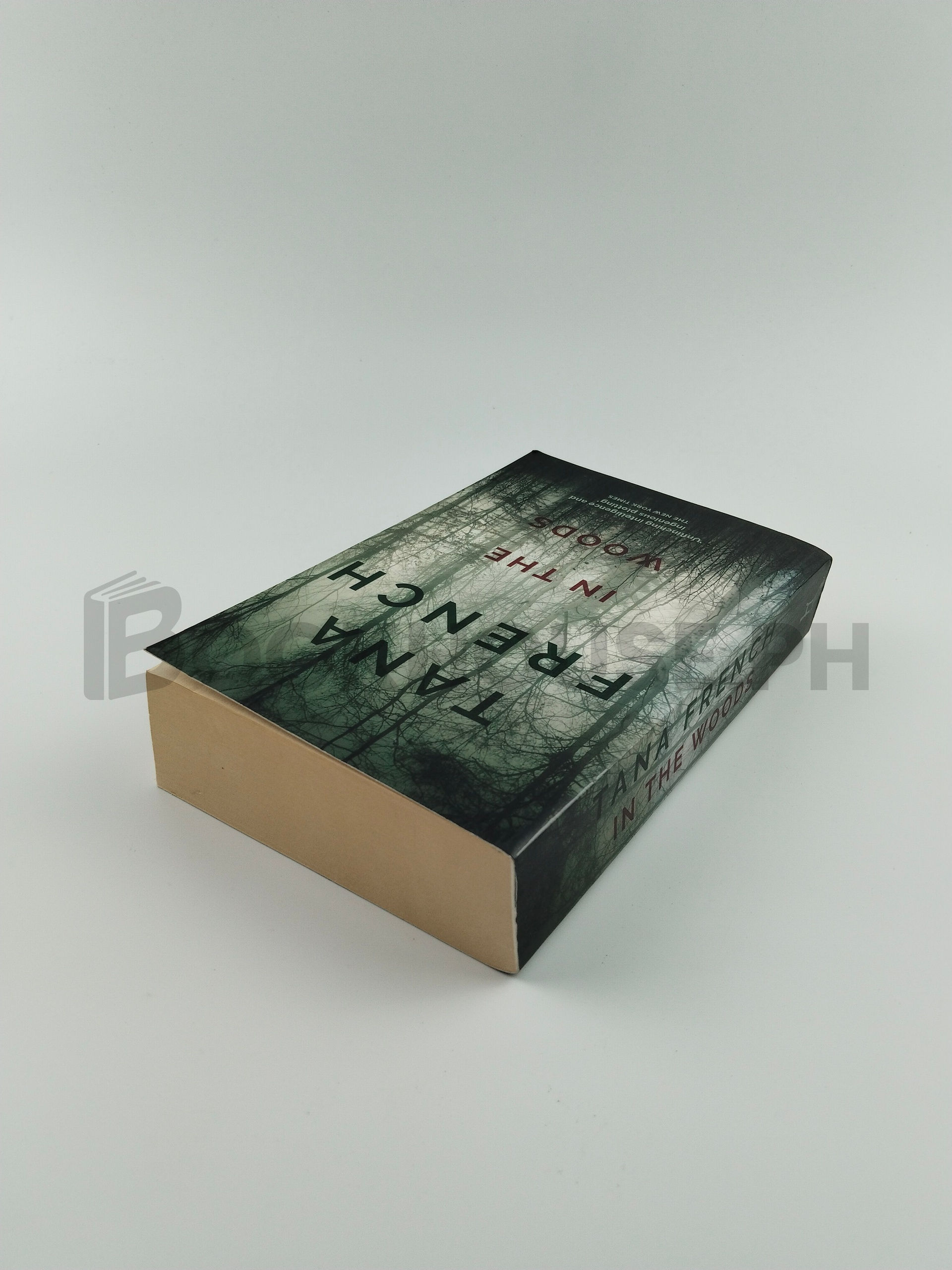In The Woods by Tana French - Image 2