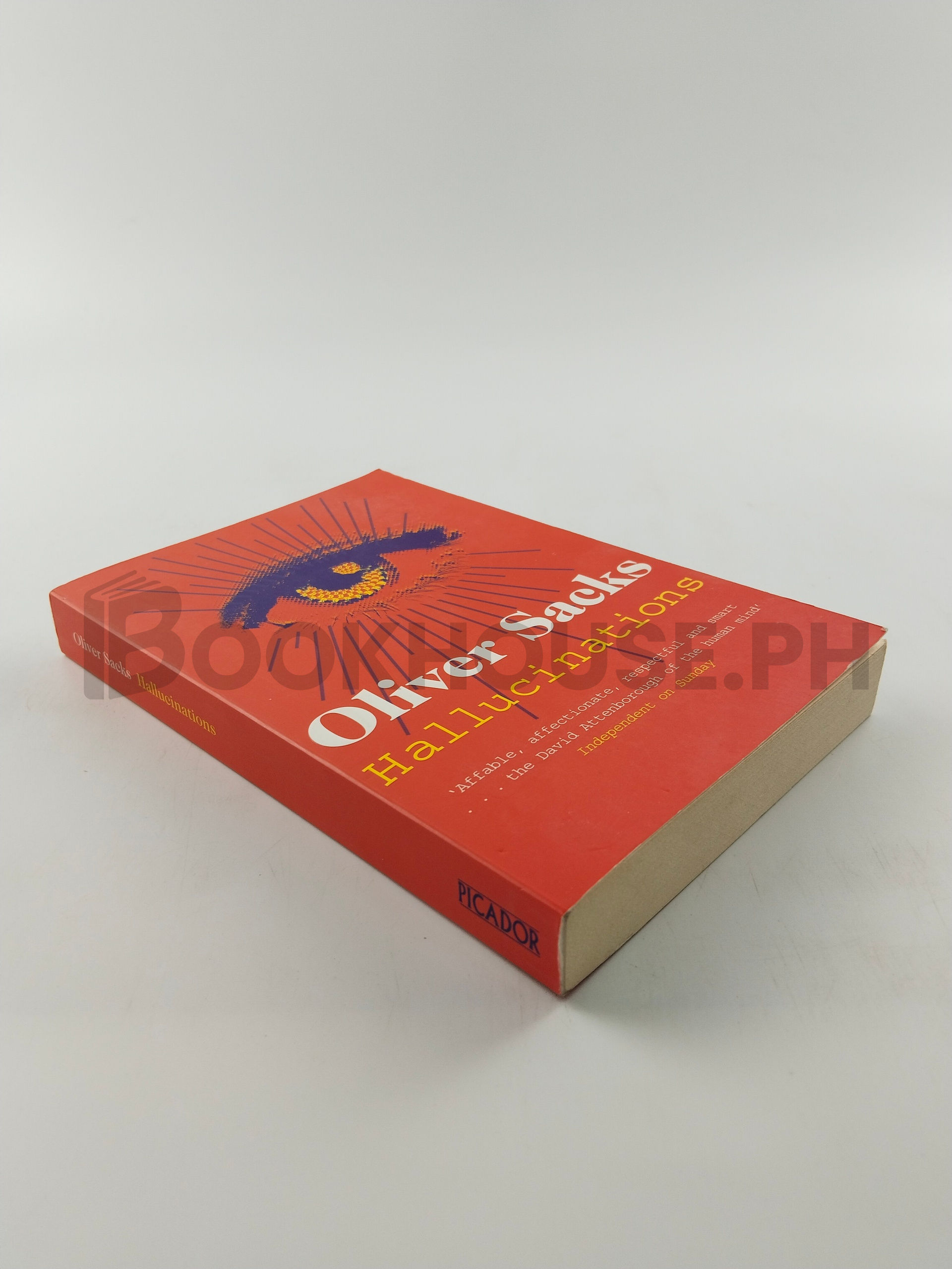 Hallucinations by Oliver Sacks - Image 2
