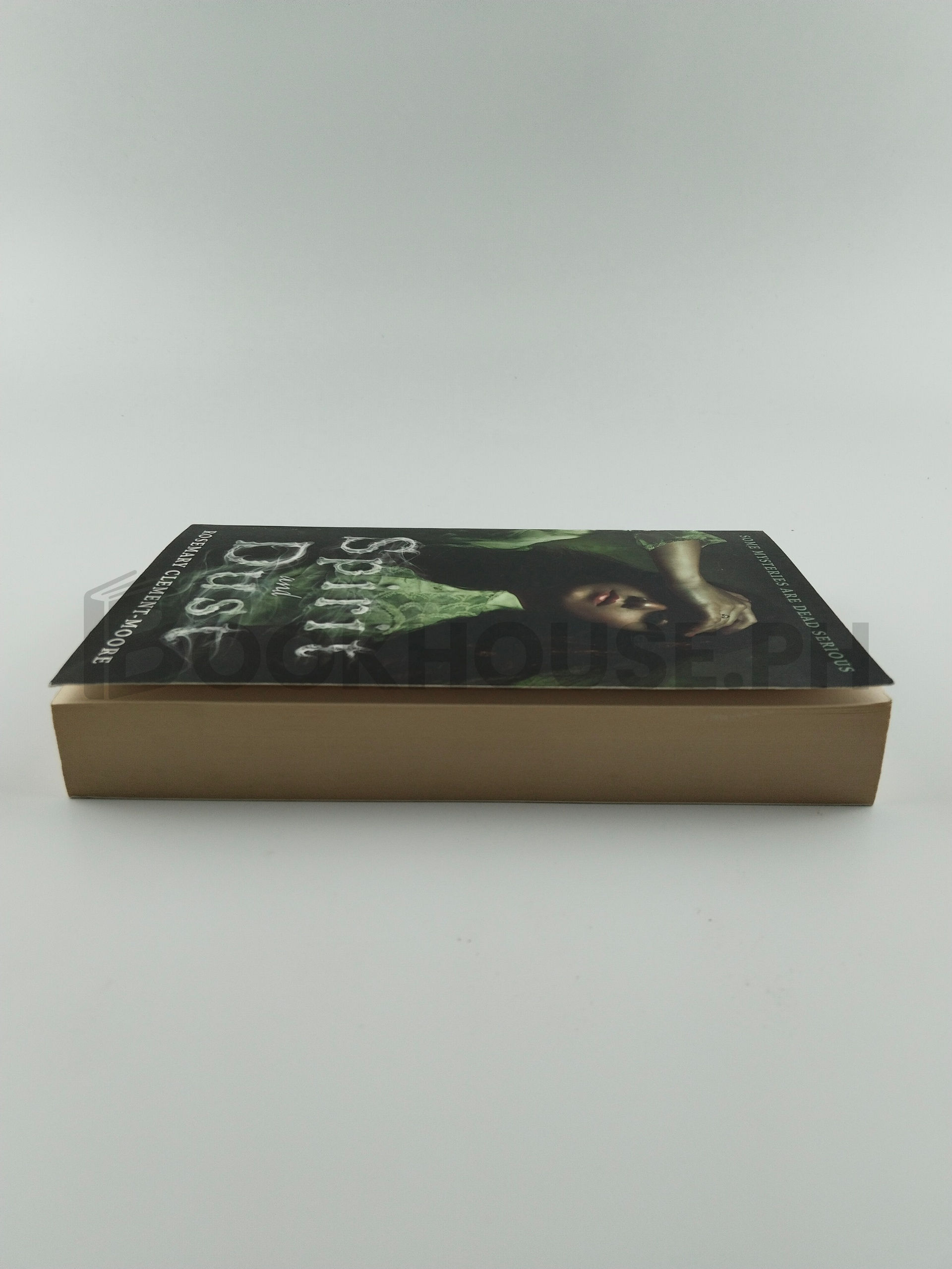 Spirit And Dust by Rosemary Clement-moore - Image 4