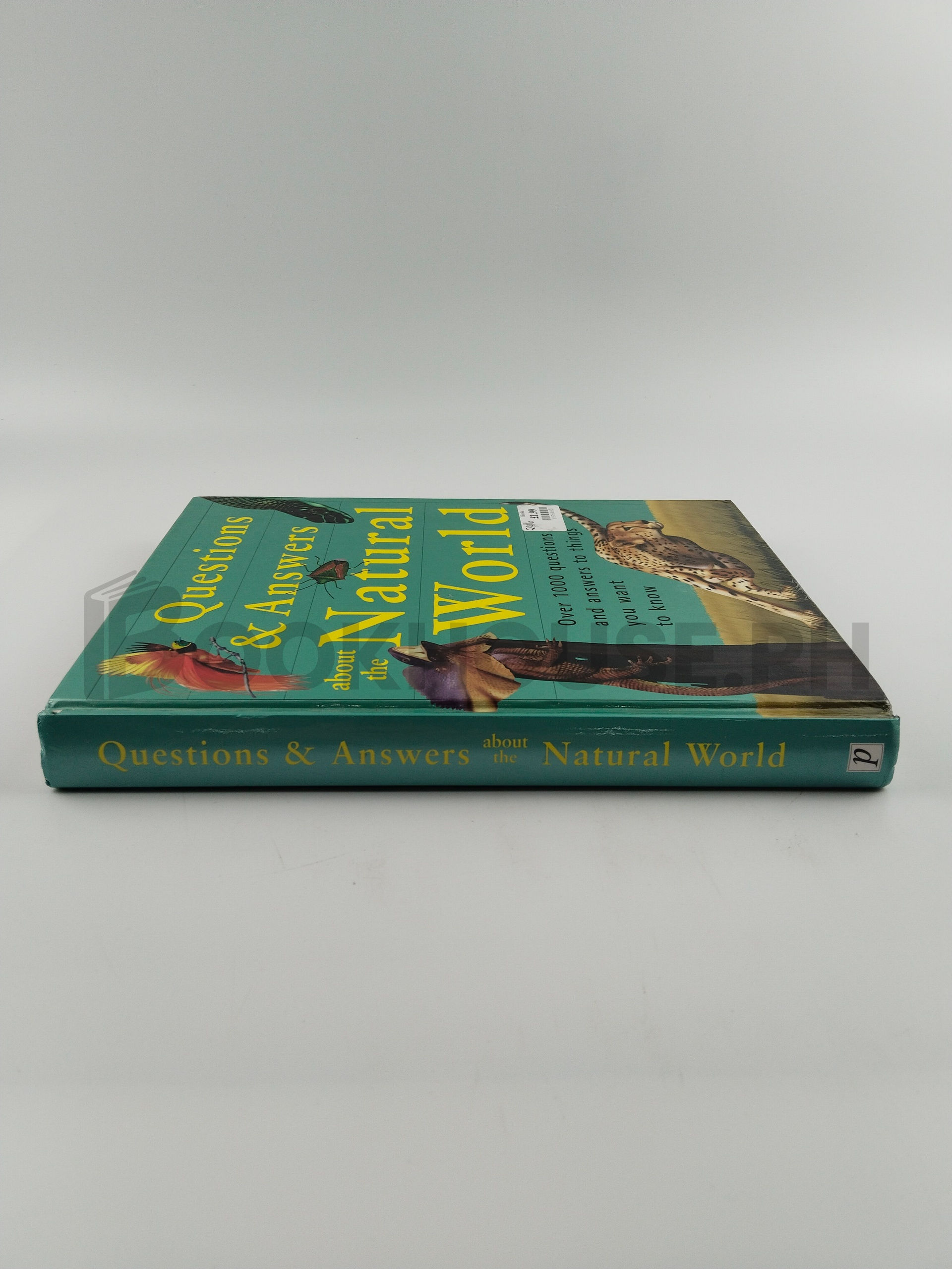 Questions And Answers About The Natural World by Parragon - Image 3