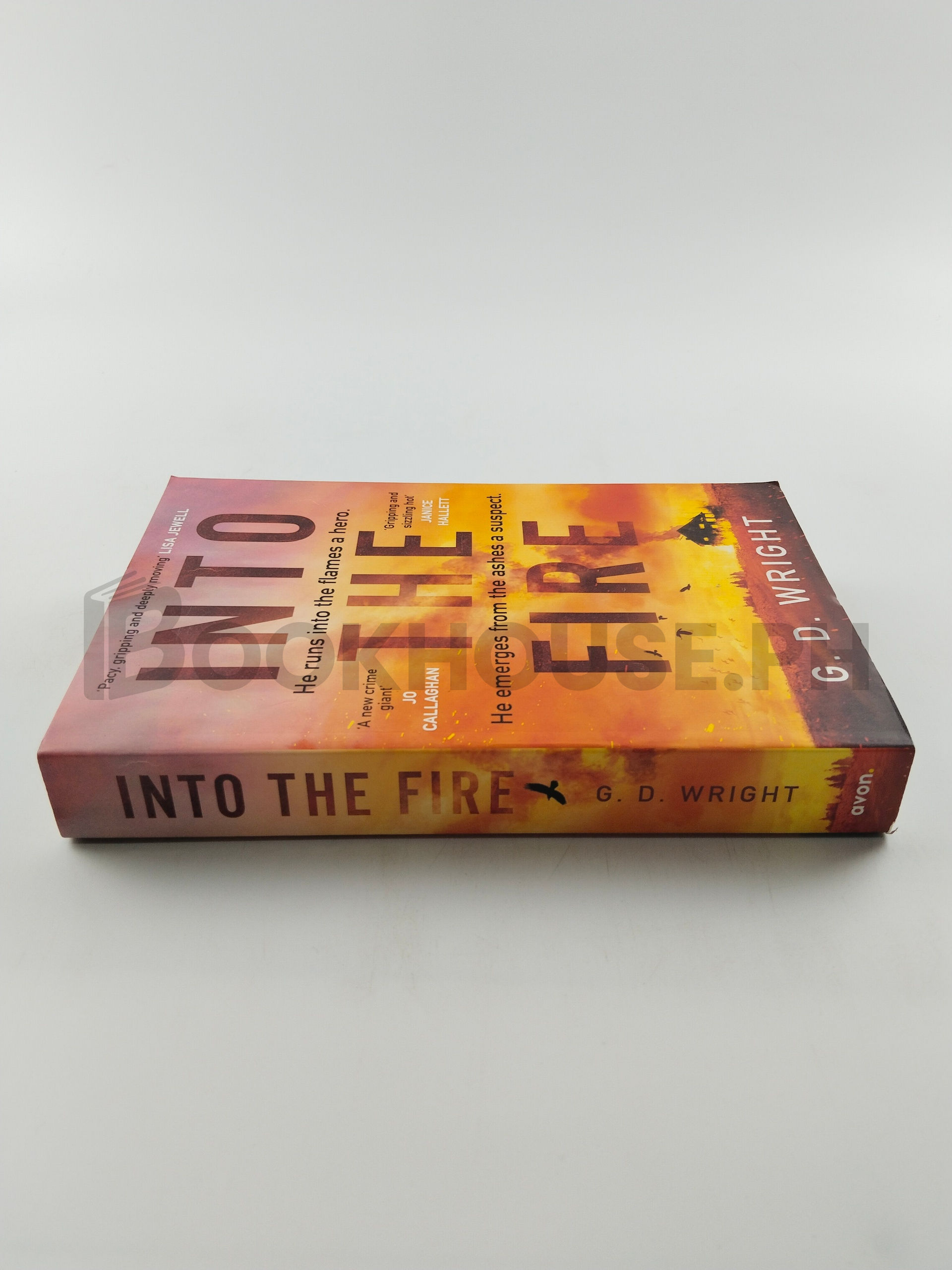 Into The Fire by G. D. Wright - Image 3
