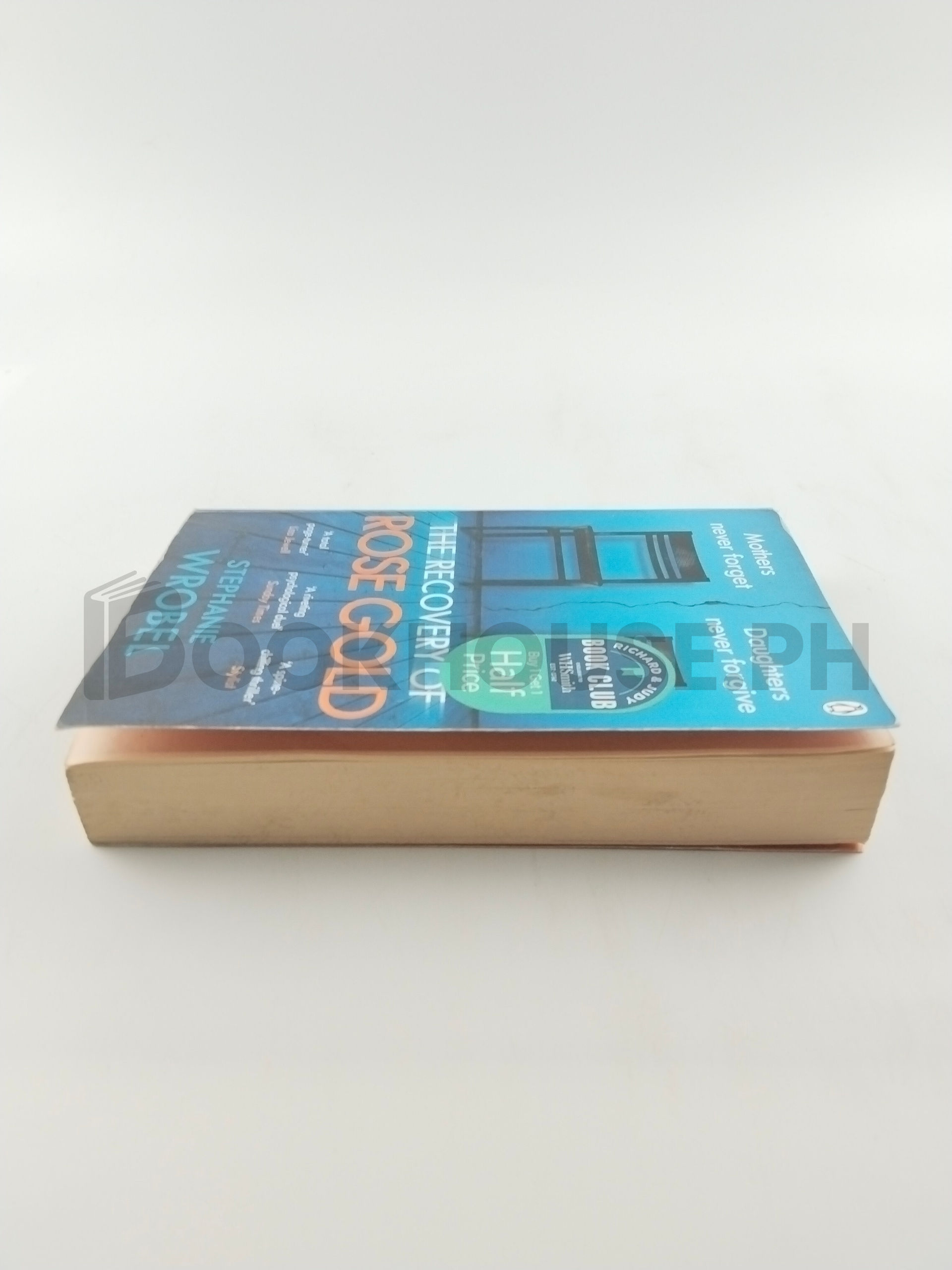 The Recovery Of Rose Gold by Stephanie Wrobel - Image 4