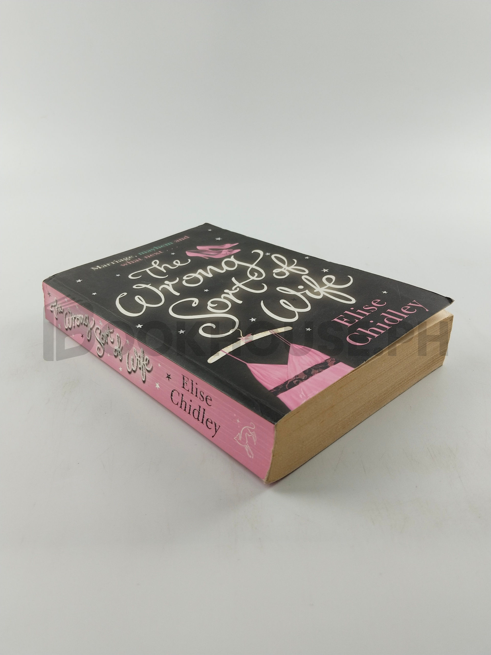 The Wrong Sort Of Wife? by Elise Chidley - Image 2