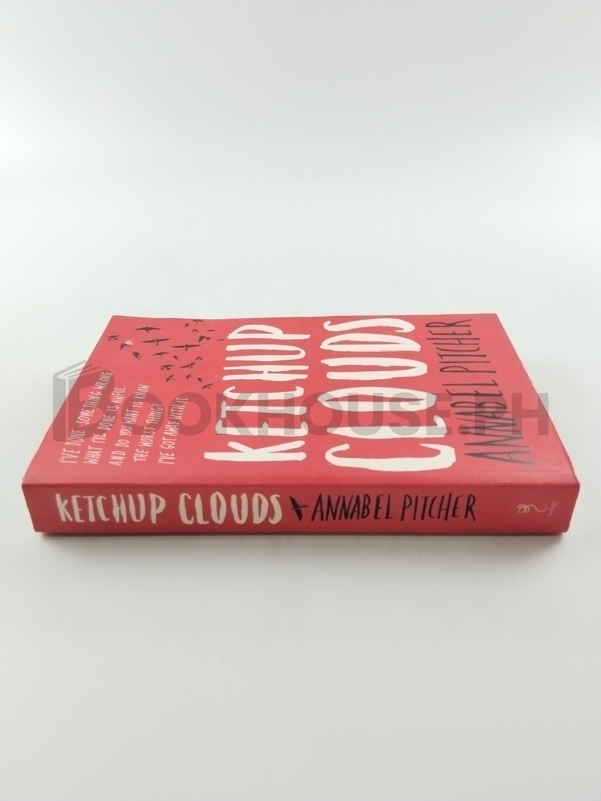 Ketchup Clouds by Annabel Pitcher - Image 3