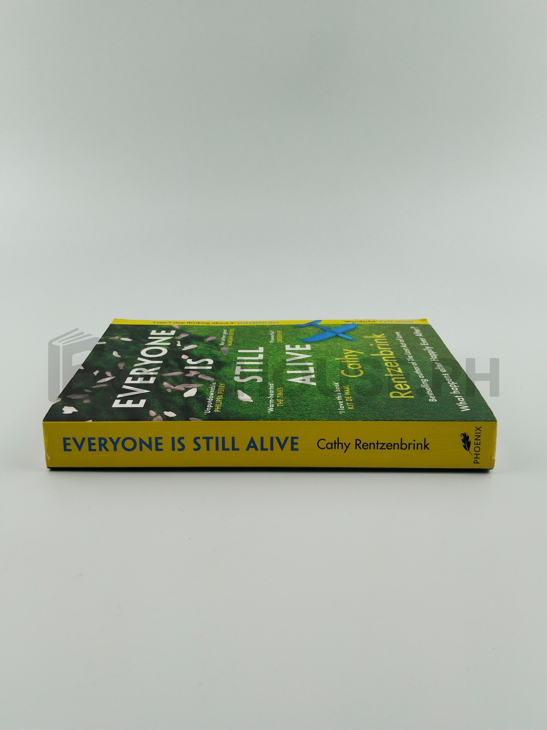Everyone Is Still Alive by Cathy Rentzenbrink - Image 3