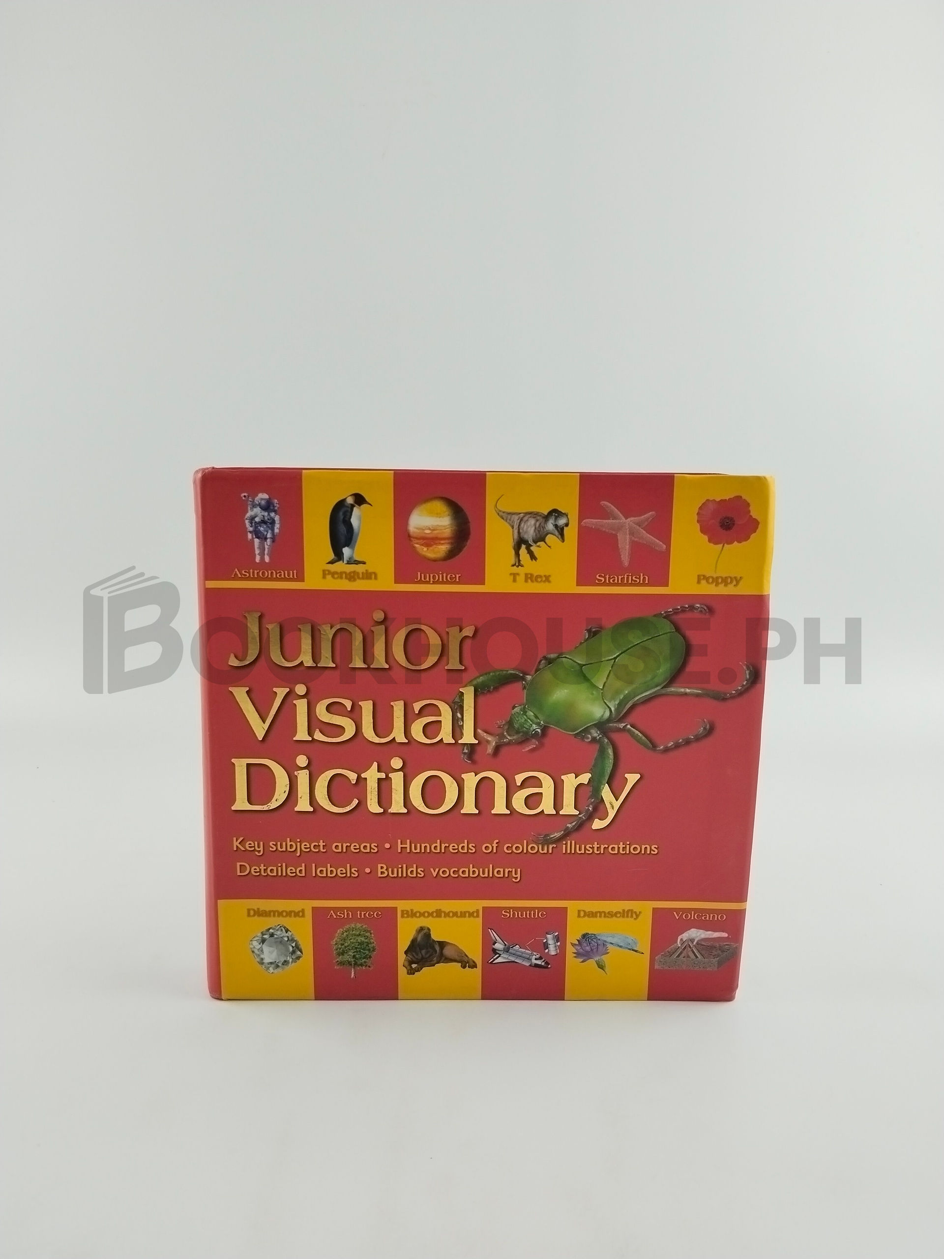 Junior Visual Dictionary by Rosalind Mcguire