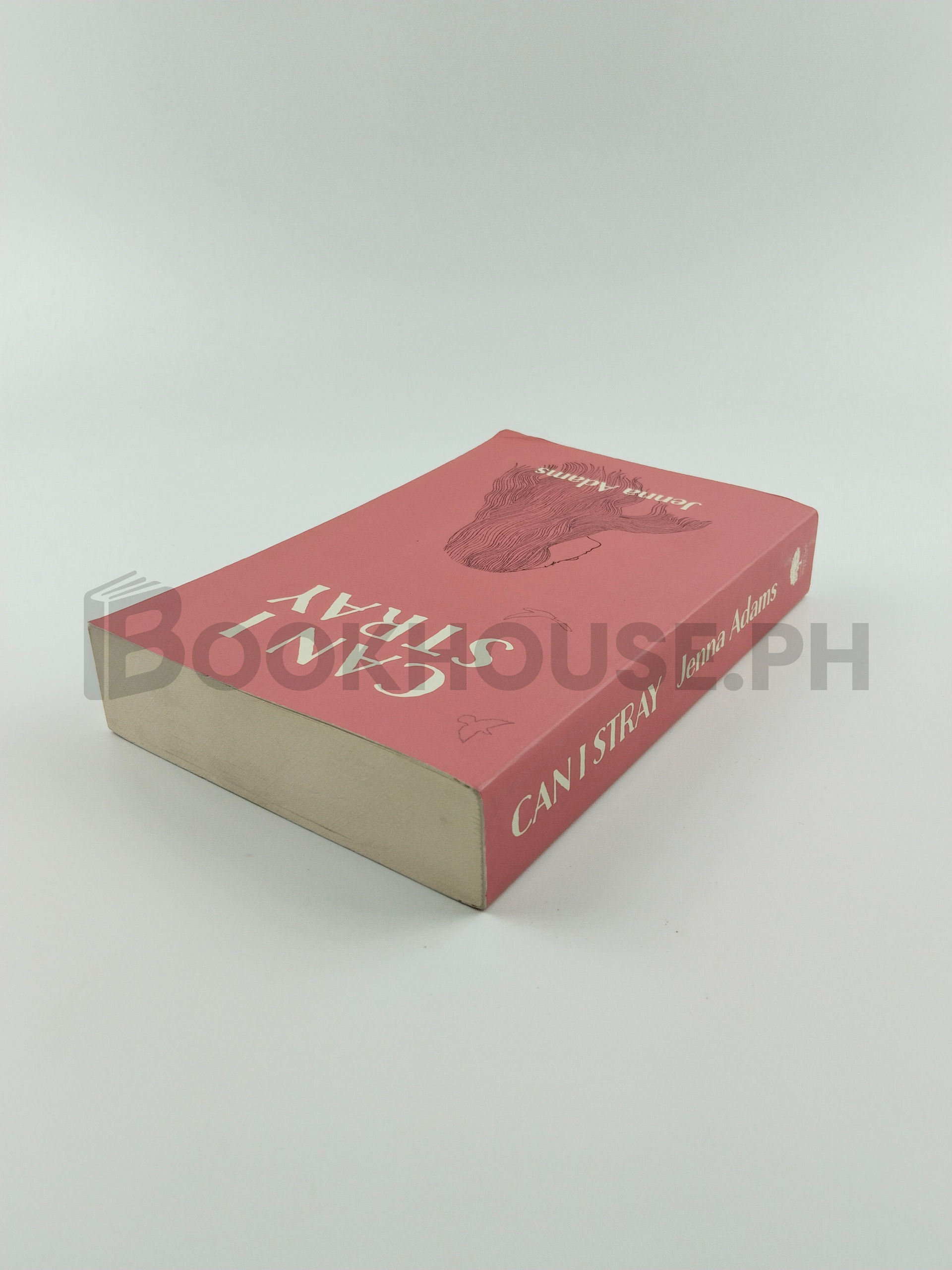 Can I Stray by Jenna Adams - Image 2