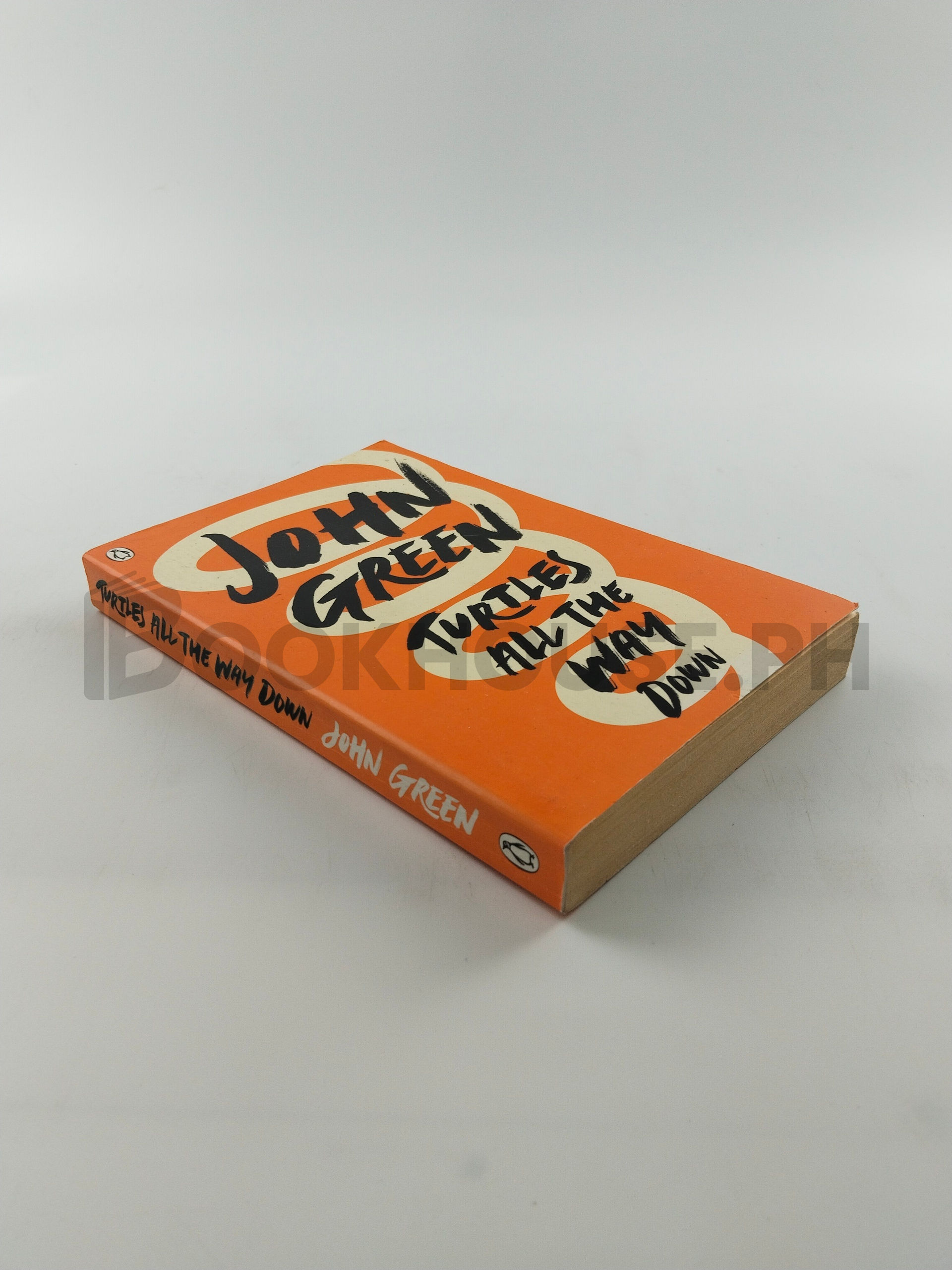 Turtles All The Way Down by John Green - Image 2