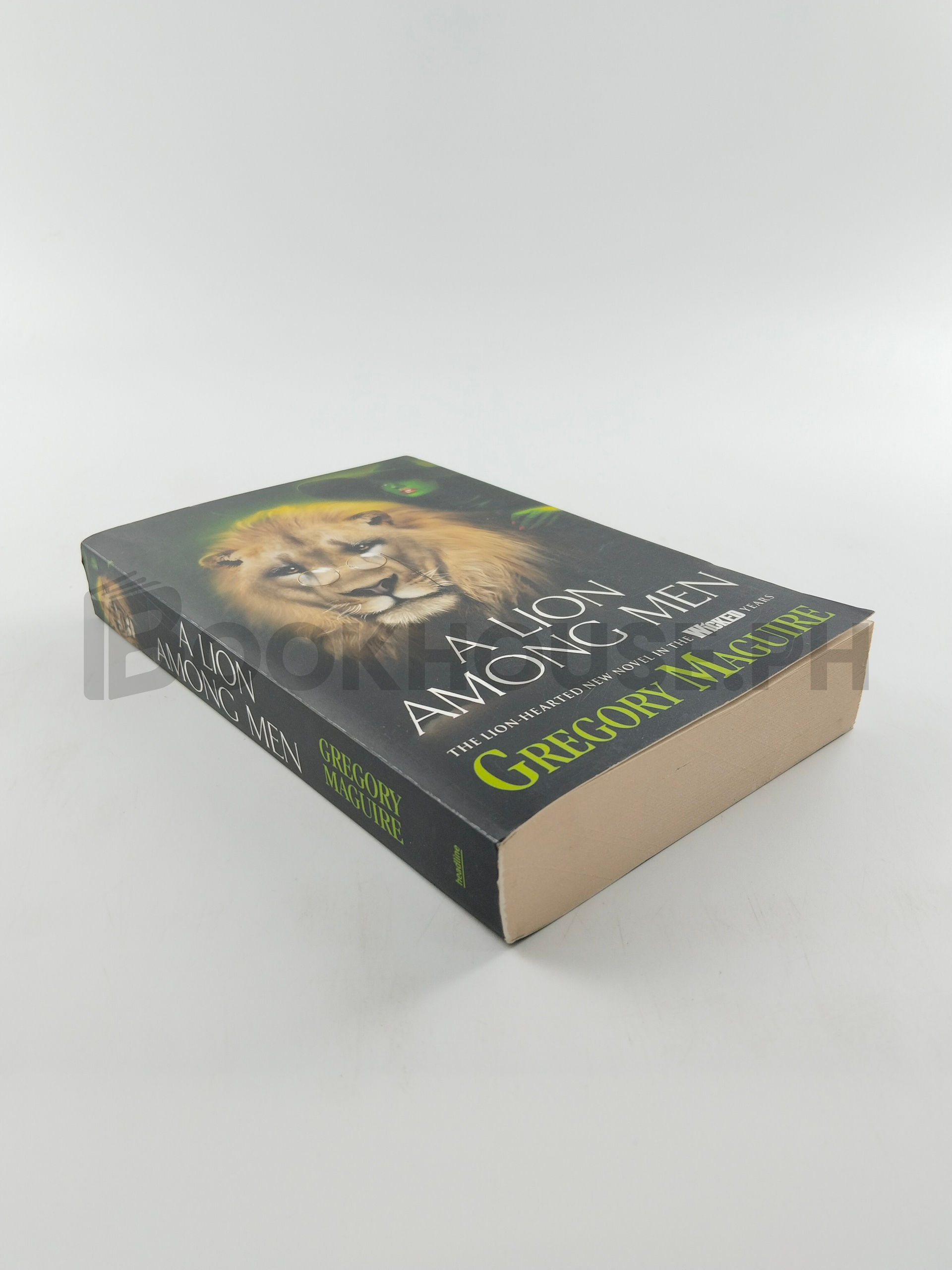 A Lion Among Men by Gregory Maguire - Image 2