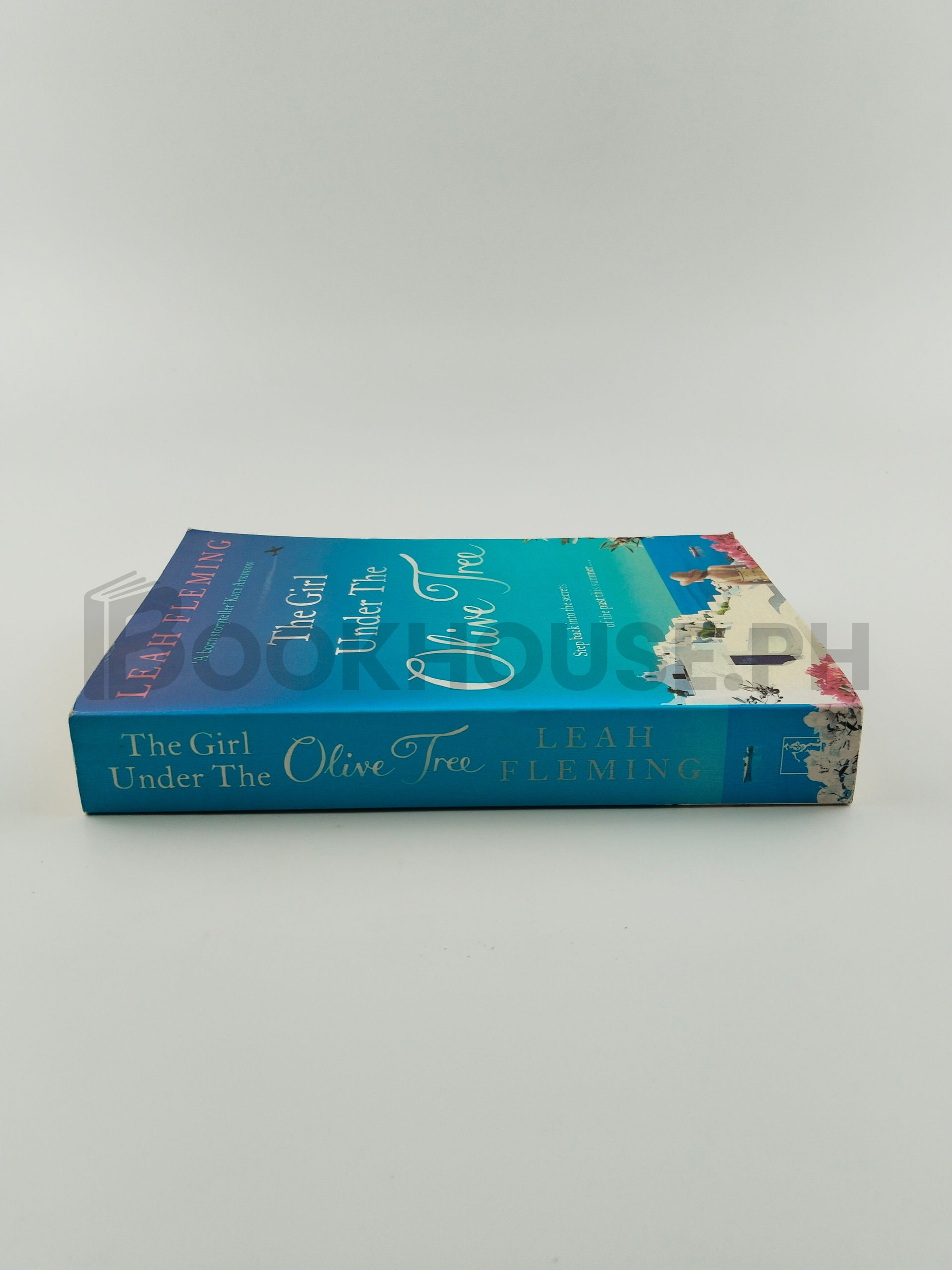 The Girl Under The Olive Tree by Leah Fleming - Image 3