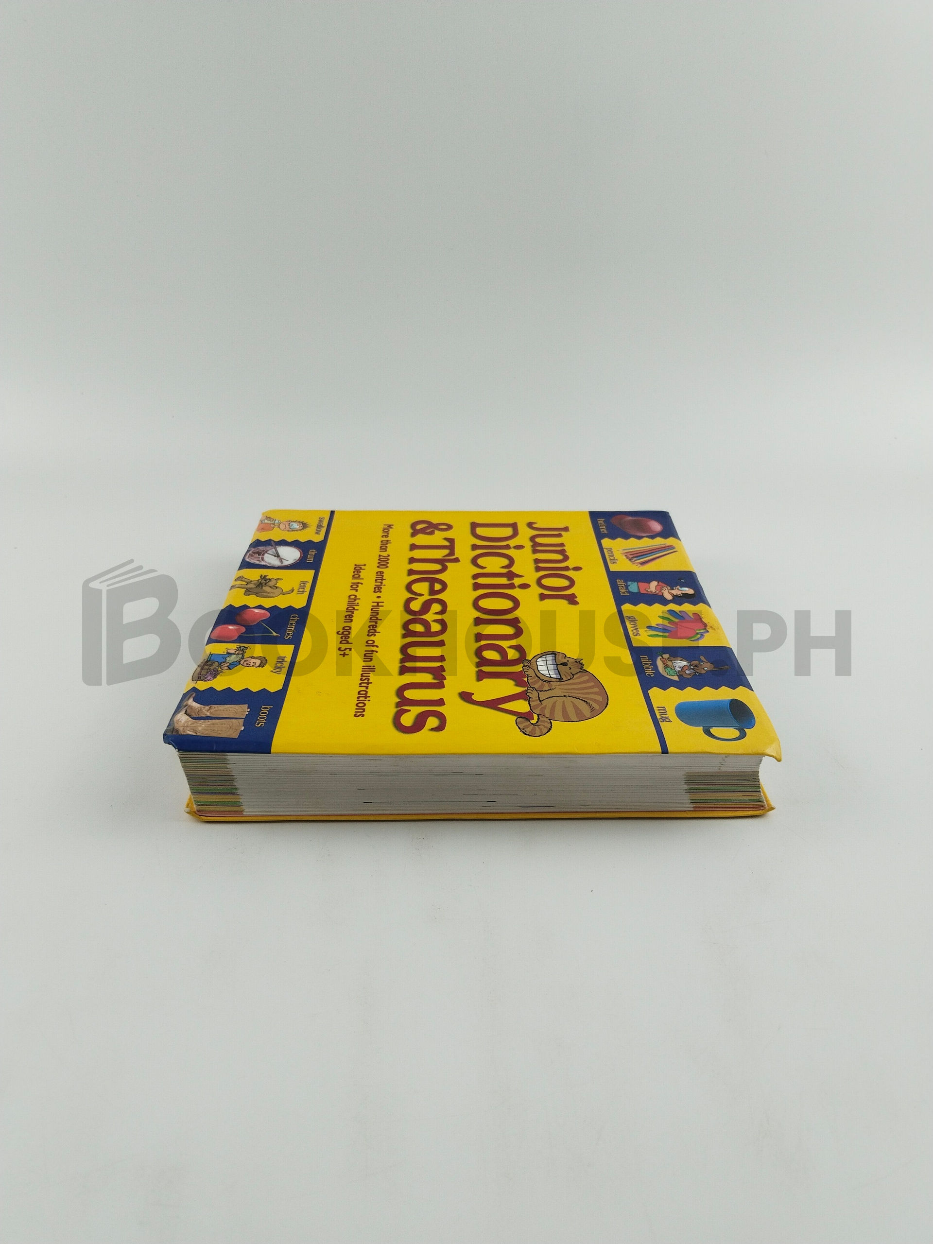 Junior Dictionary And Thesaurus by Cindy Leaney - Image 4