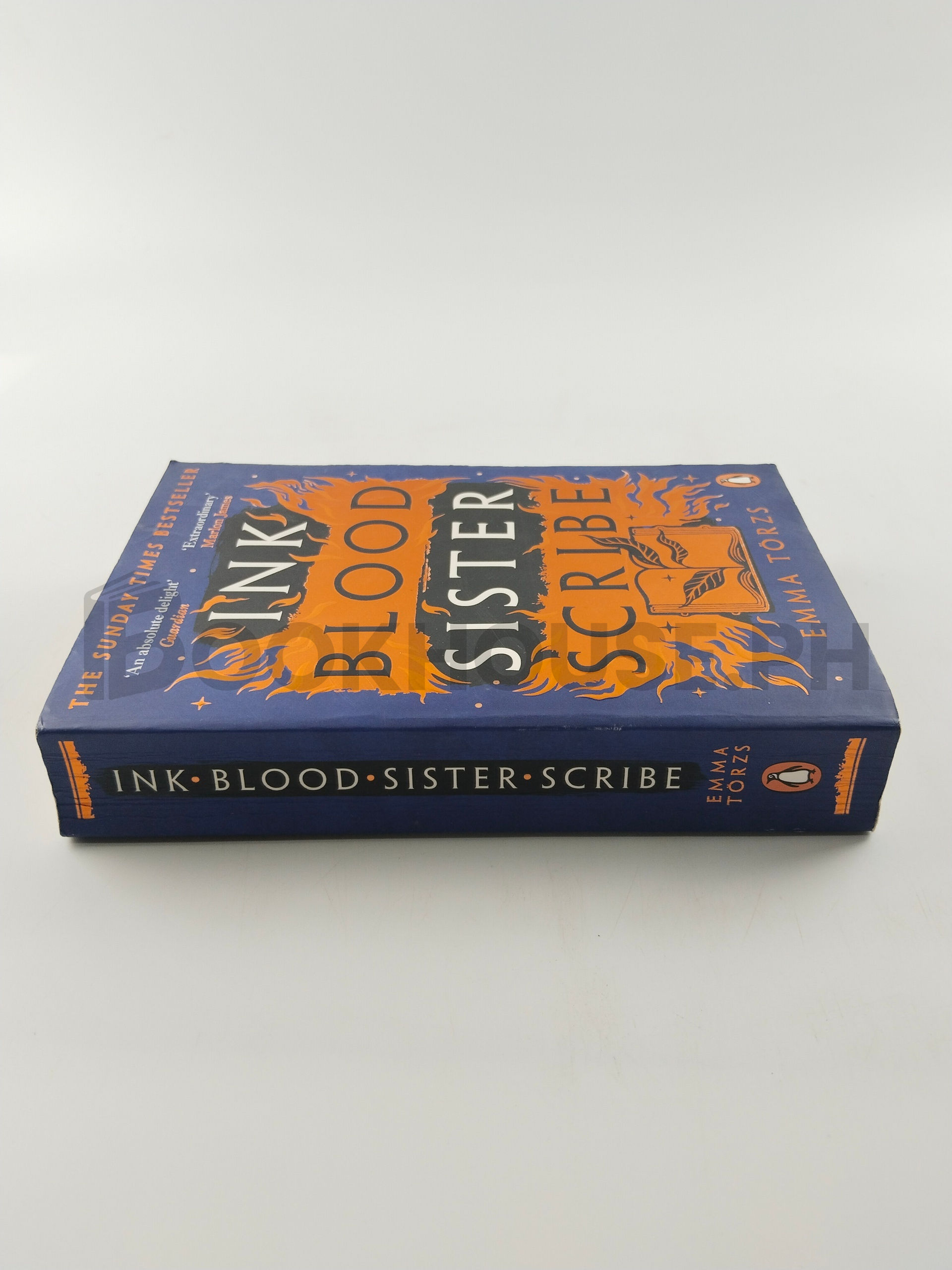 Ink Blood Sister Scribe by Emma Törzs - Image 3