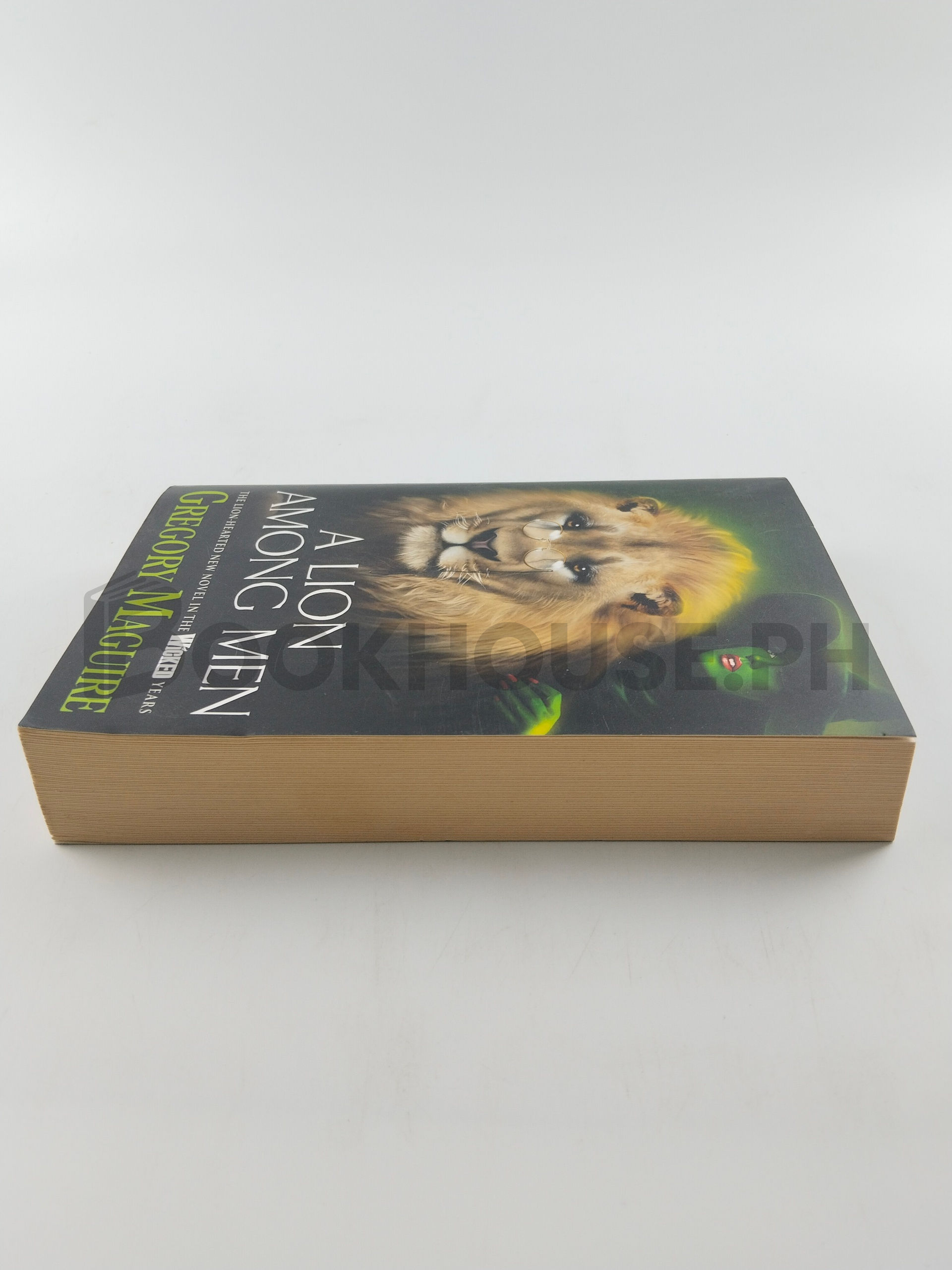 A Lion Among Men by Gregory Maguire - Image 4