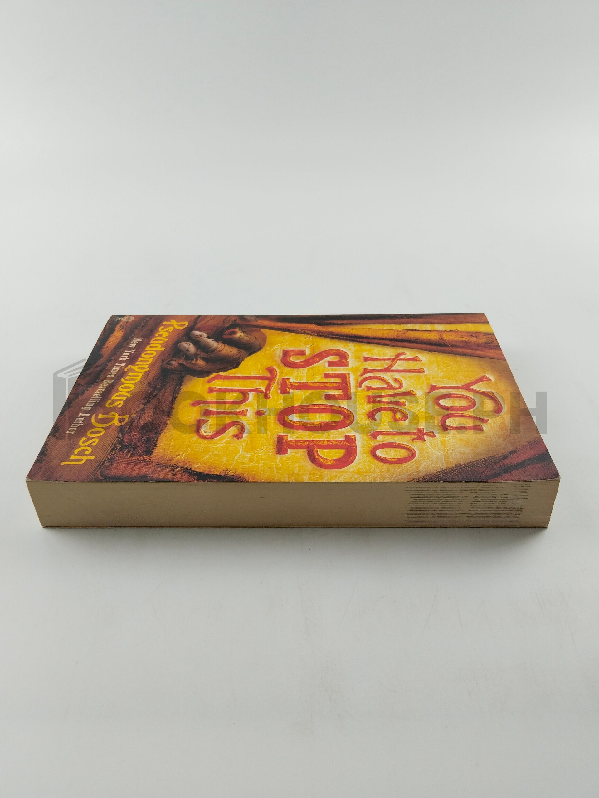 You Have To Stop This by Pseudonymous Bosch - Image 4