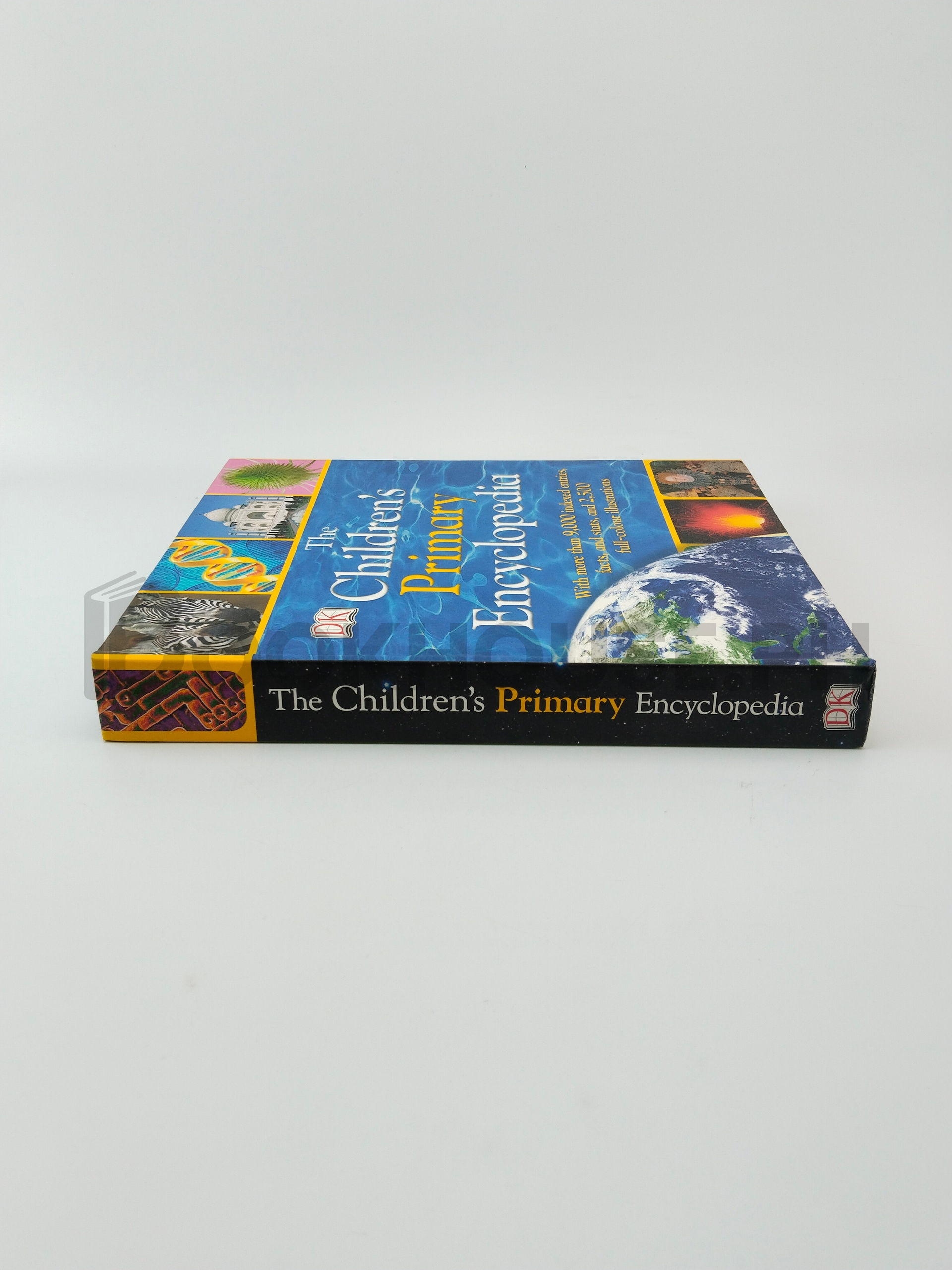 The Children's Primary Encyclopedia by Carrie Love, Caroline Stamps - Image 3