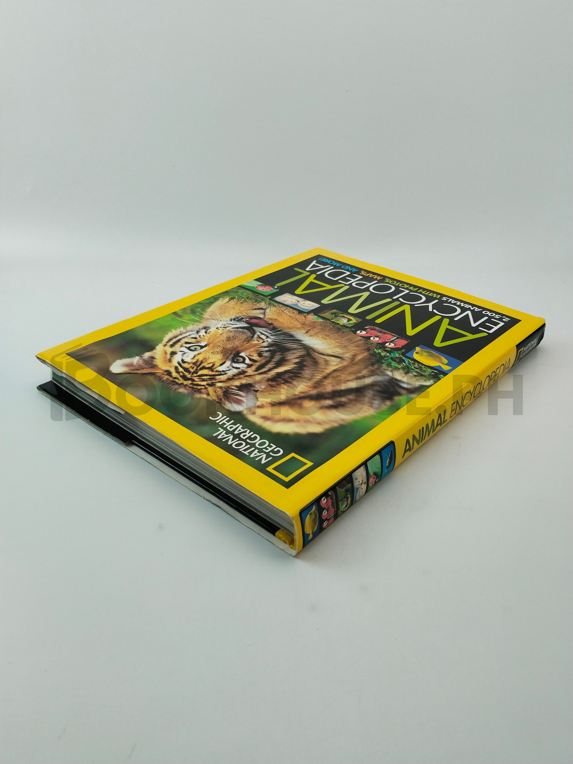 National Geographic Animal Encyclopedia by Lucy Spelman, Lucy H. Spelman - Image 2