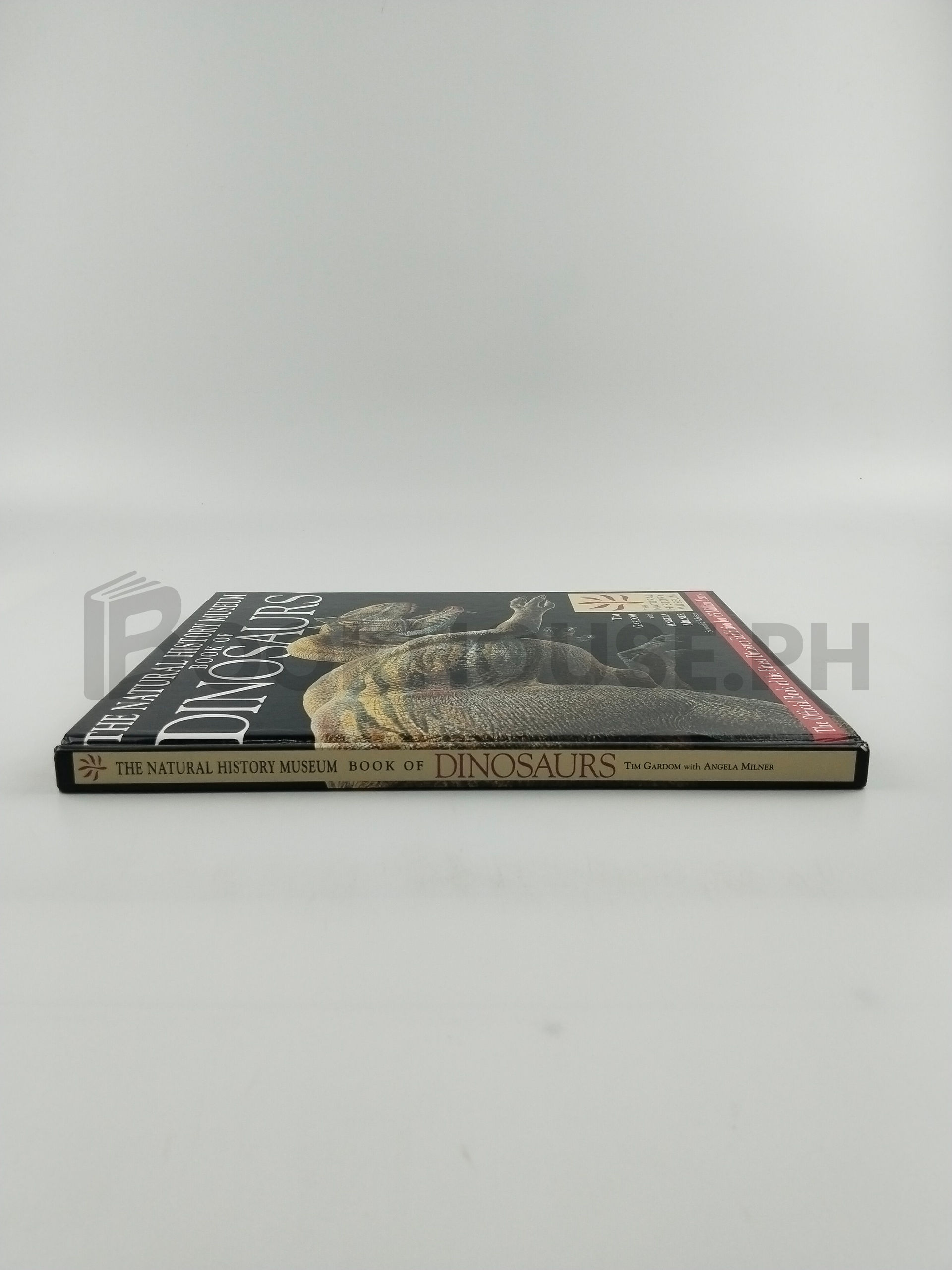 The Natural History Museum Book Of Dinosaurs by Tim Gardom, Angela C. Milner, British Museum (natural History) - Image 3