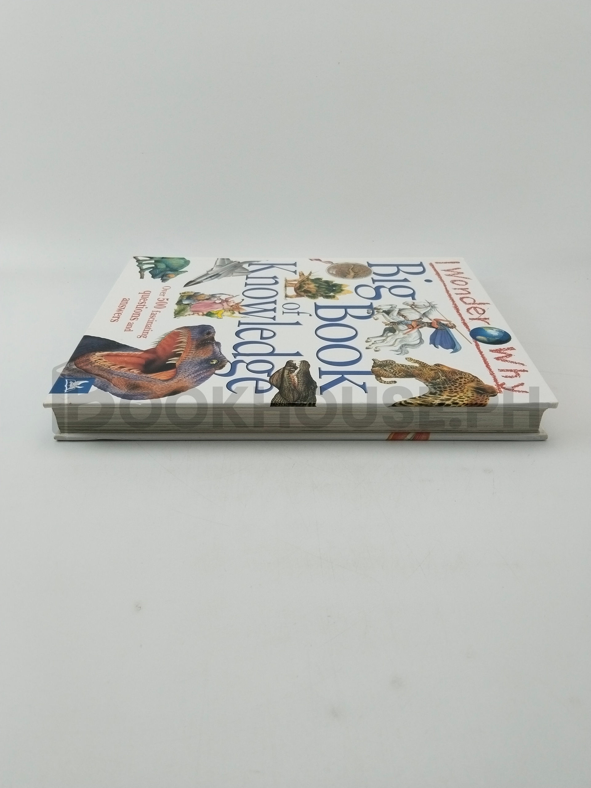 I Wonder Why Big Book Of Knowledge by Kingfisher Publications, Plc - Image 4