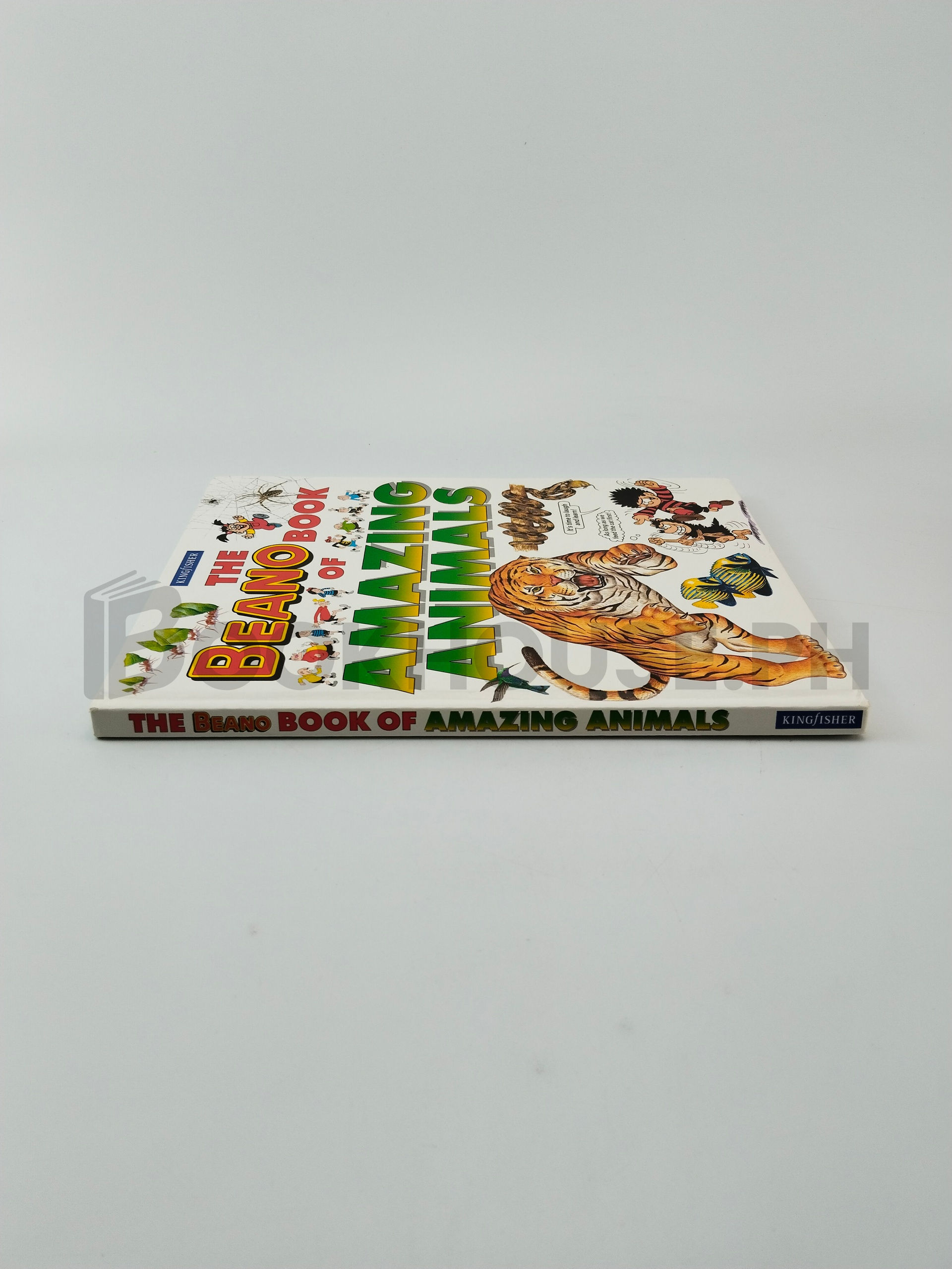 The Beano Book Of Amazing Animals by Anne Gatti - Image 3