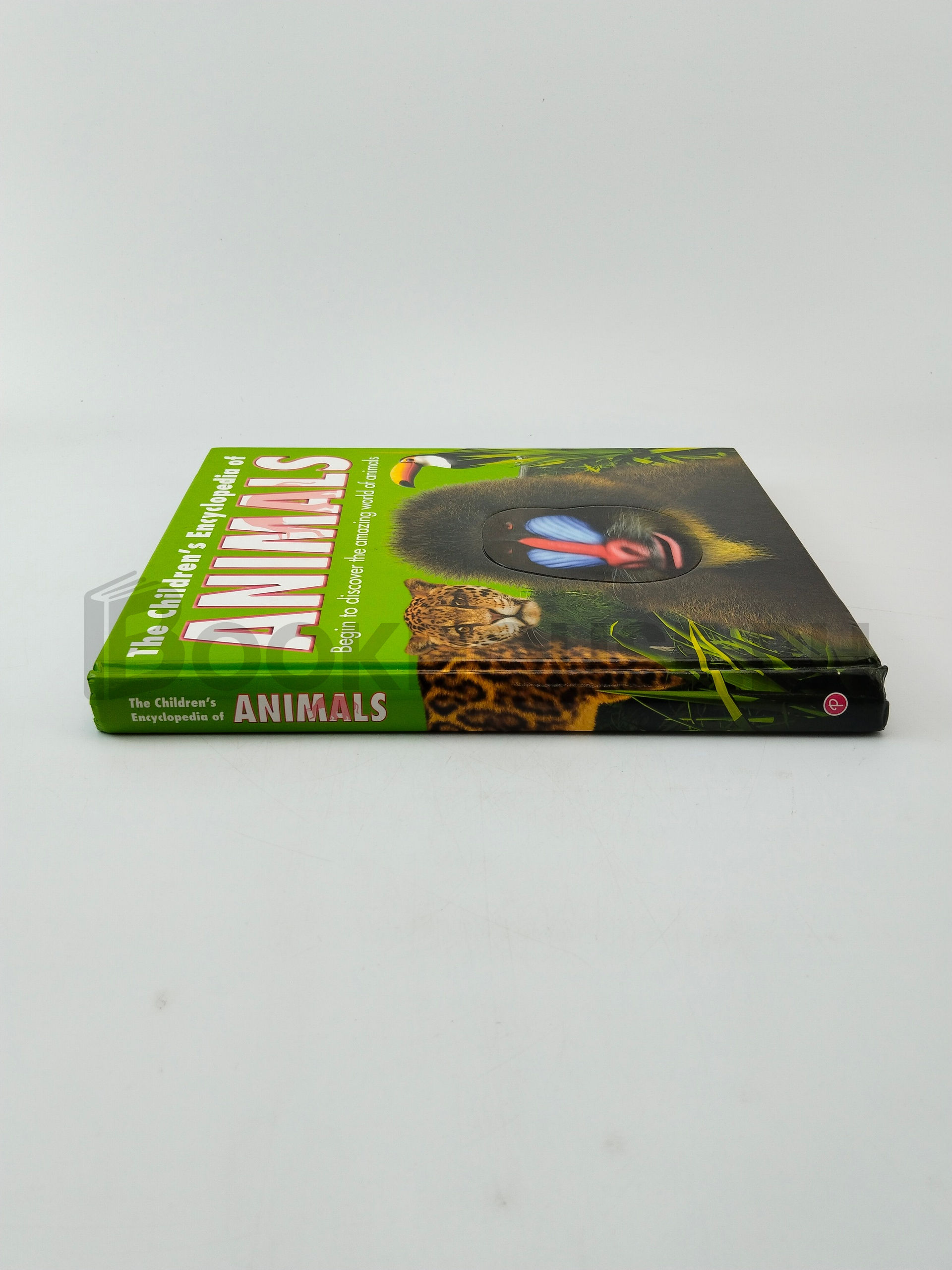 The Children's Encyclopedia Of Animals by Mandy Holloway - Image 3