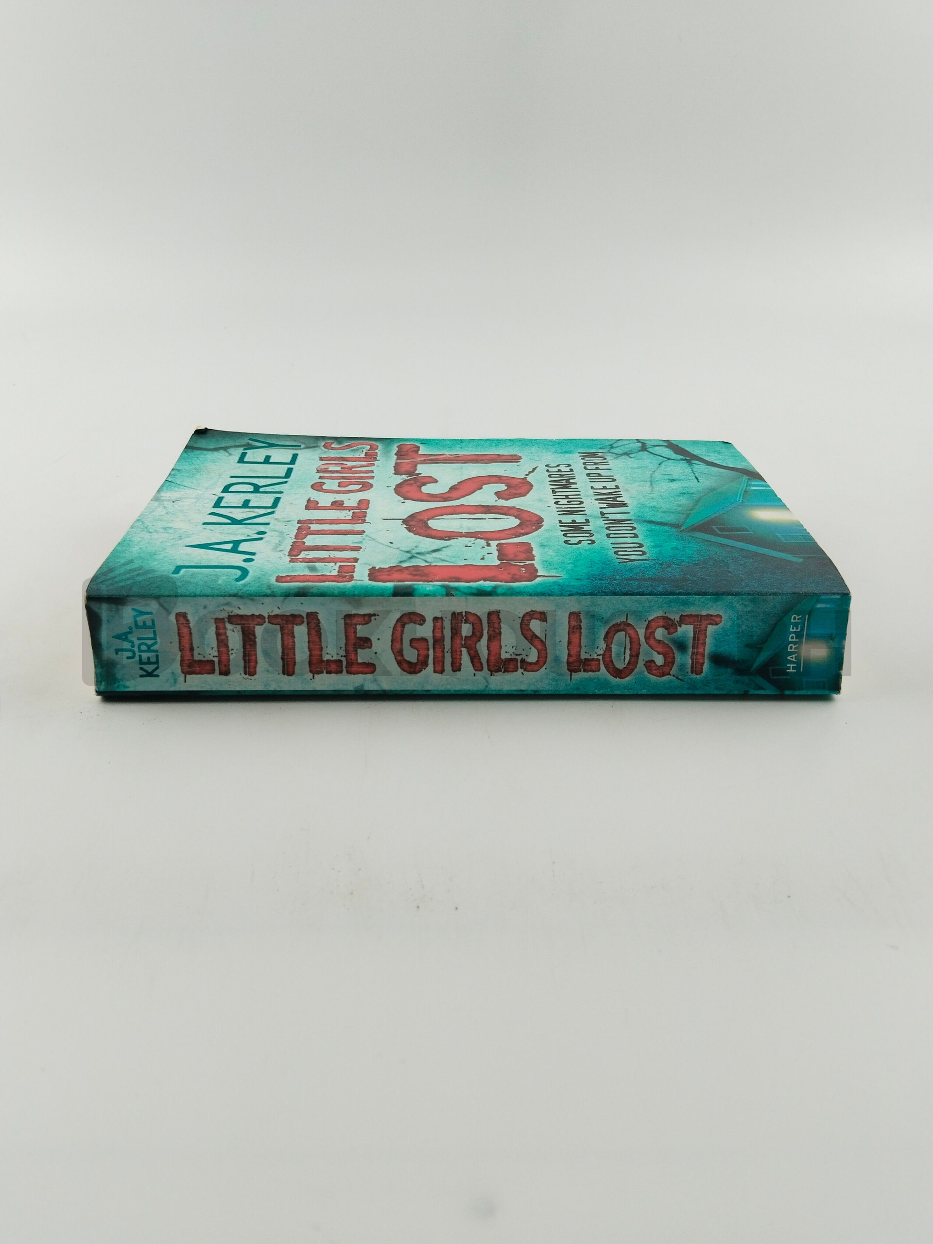 Little Girls Lost by Jack Kerley - Image 3