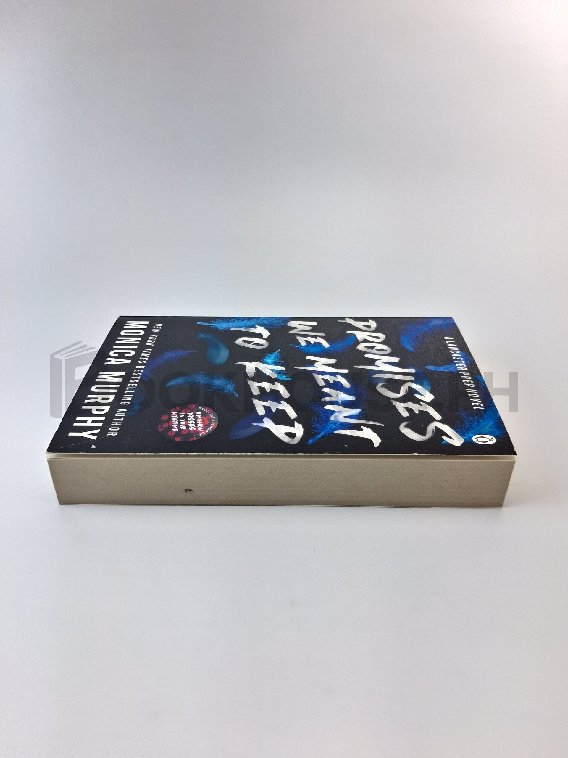 Promises We Meant To Keep by Monica Murphy - Image 4