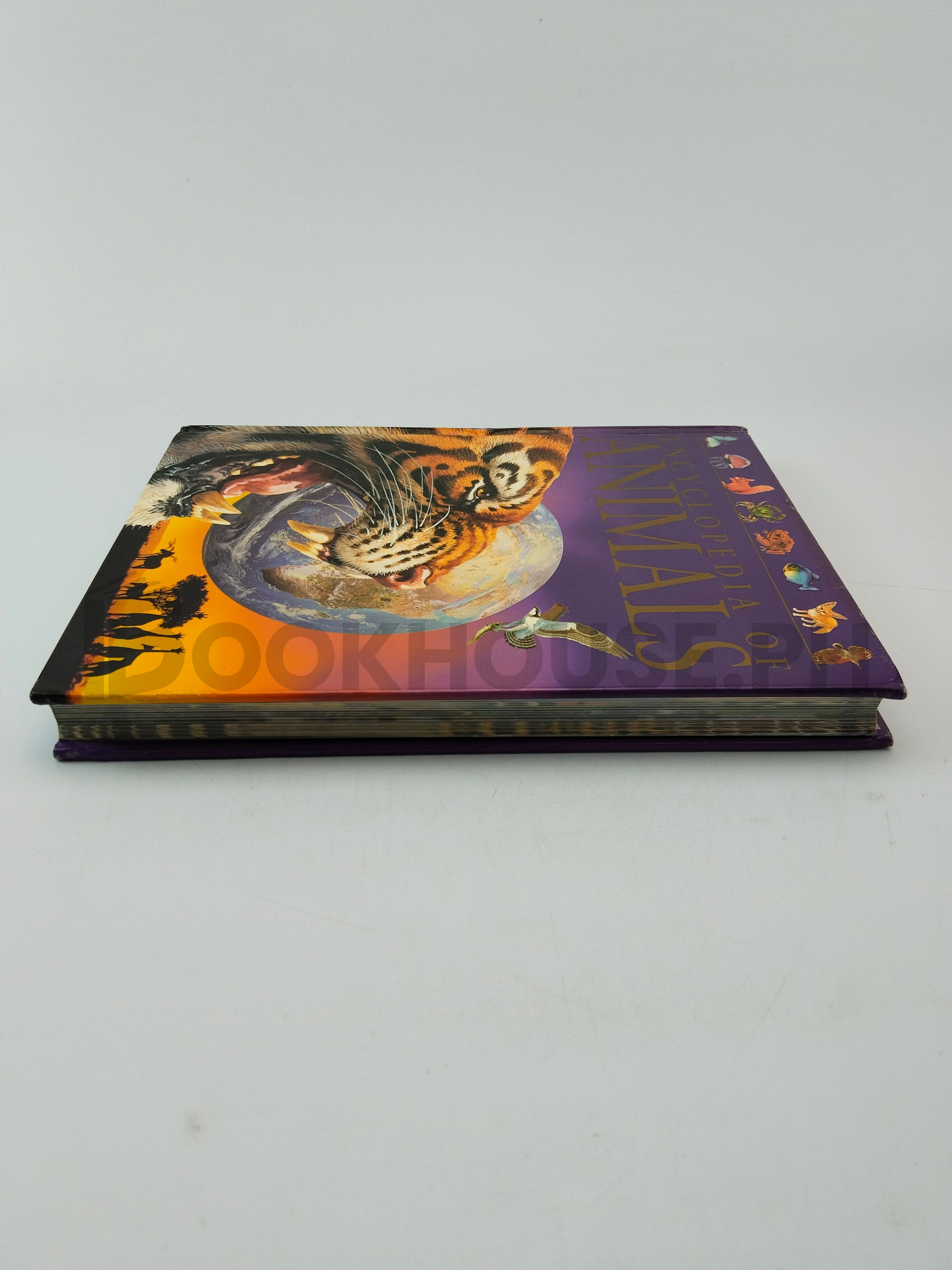 Encyclopedia Of Animals by Martin Walters, Jinny Johnson - Image 4