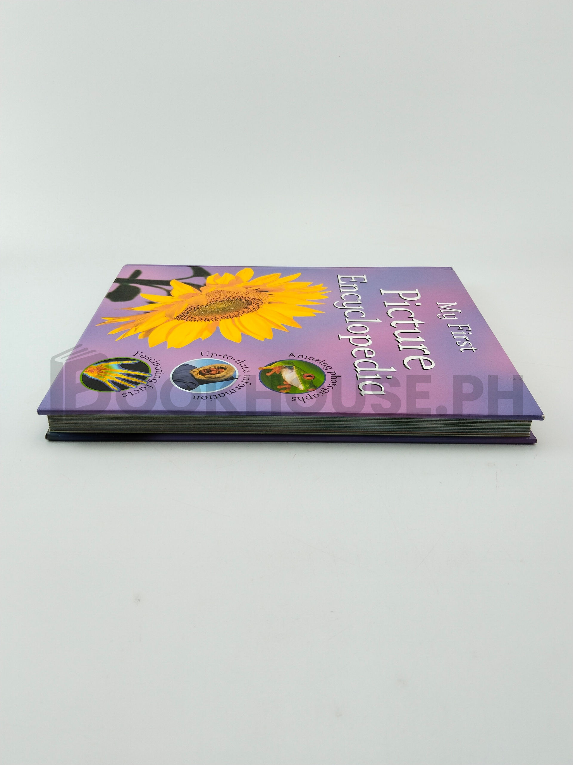 My First Picture Encyclopedia by Steve Parker - Image 4