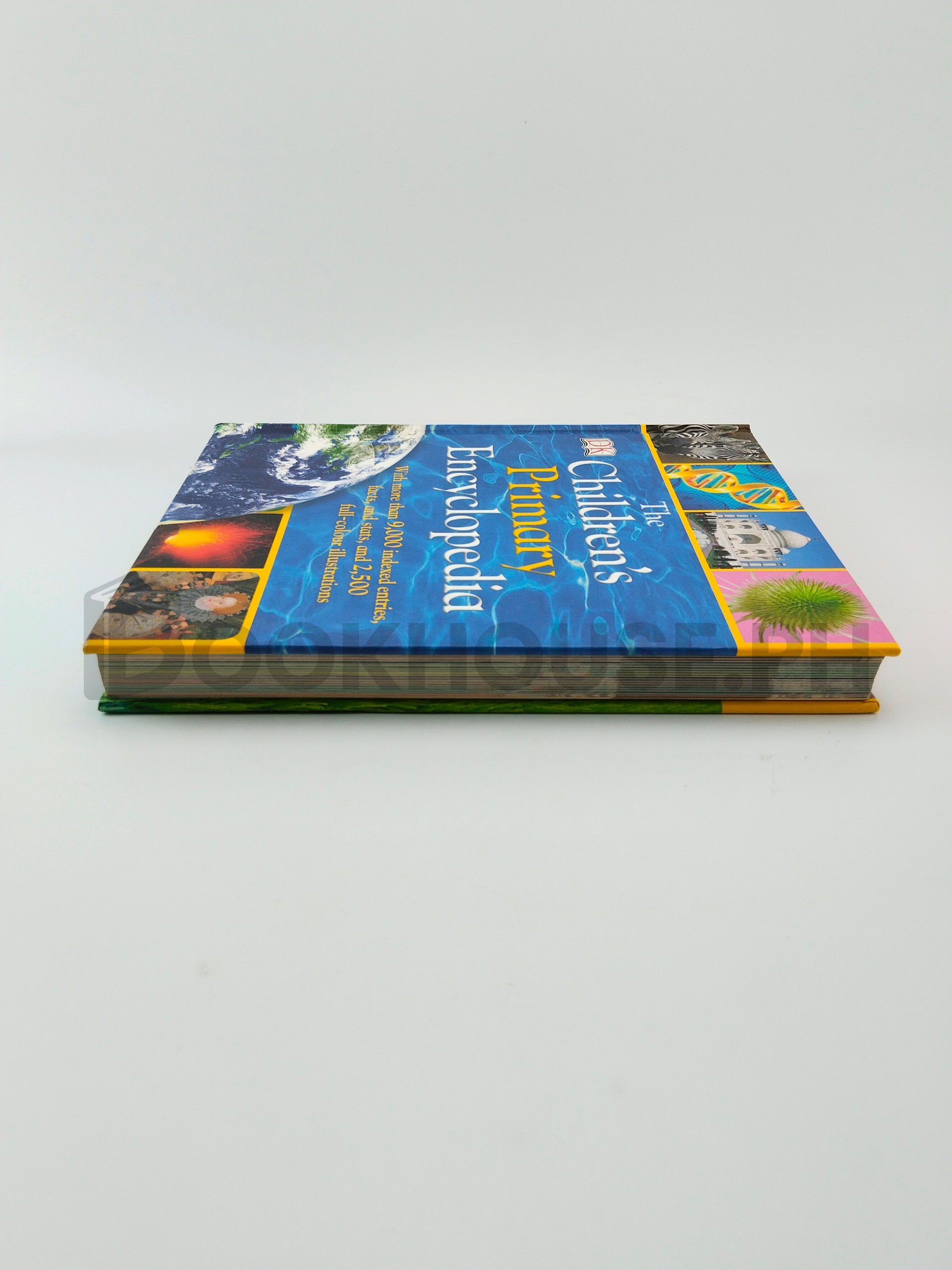 The Children's Primary Encyclopedia by Carrie Love, Caroline Stamps - Image 4