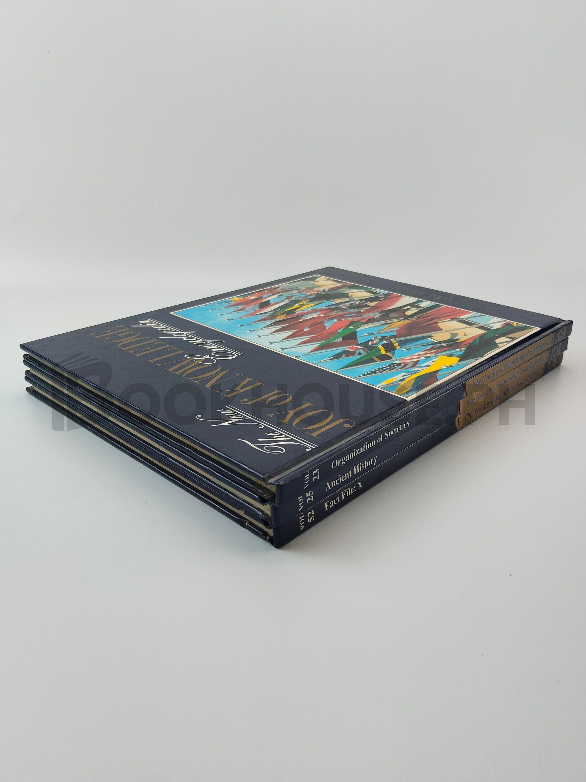 Vol. 23 Organization Of Societies, Vol. 25 Ancient History, Vol. 52 Fact File: X by The New Joy Of Knowledge Encyclopedia - Image 2