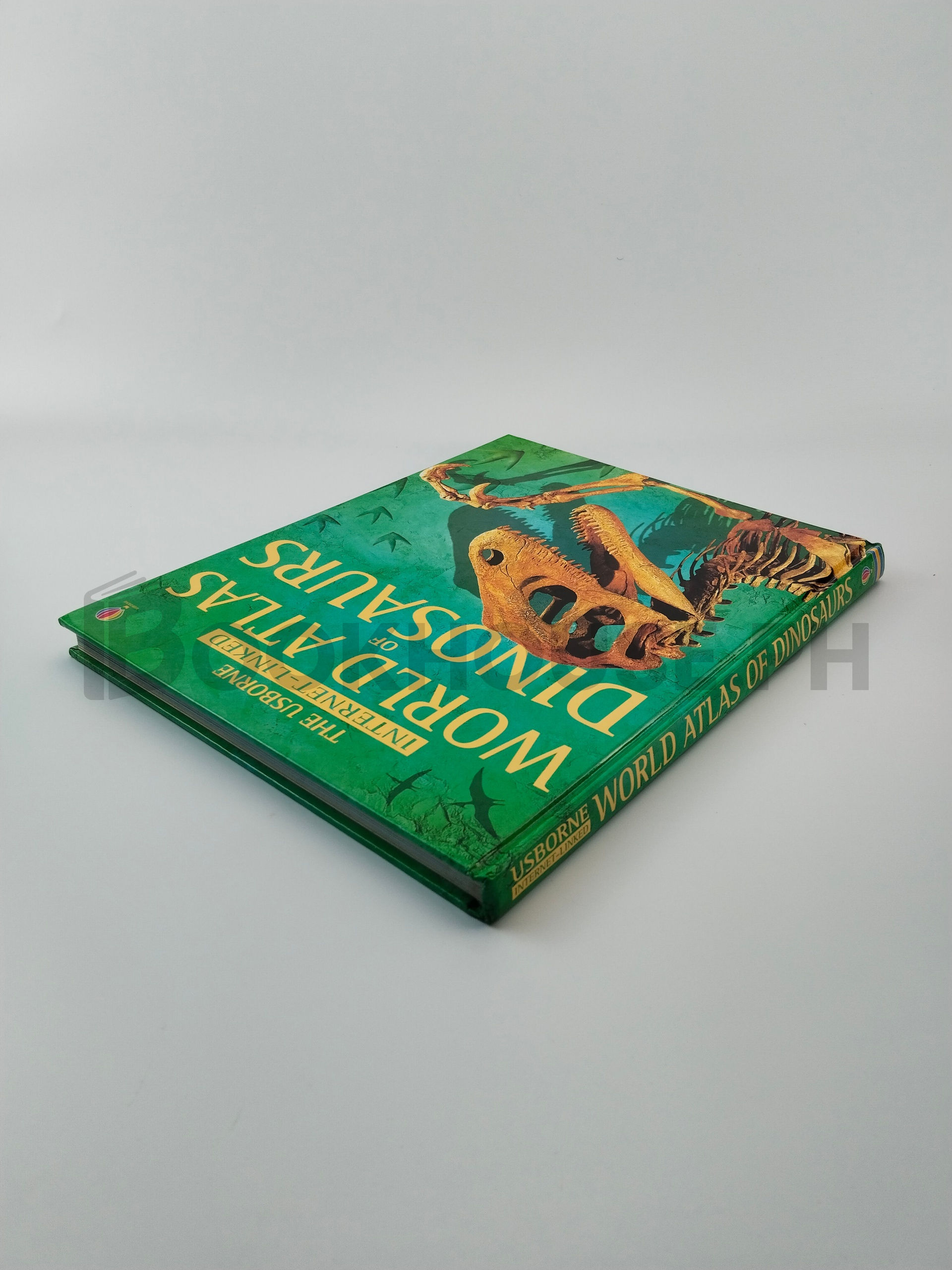 The Usborne Internet-linked World Atlas Of Dinosaurs by Susanna Davidson, Rachel Firth, Stephanie Turnbull - Image 2